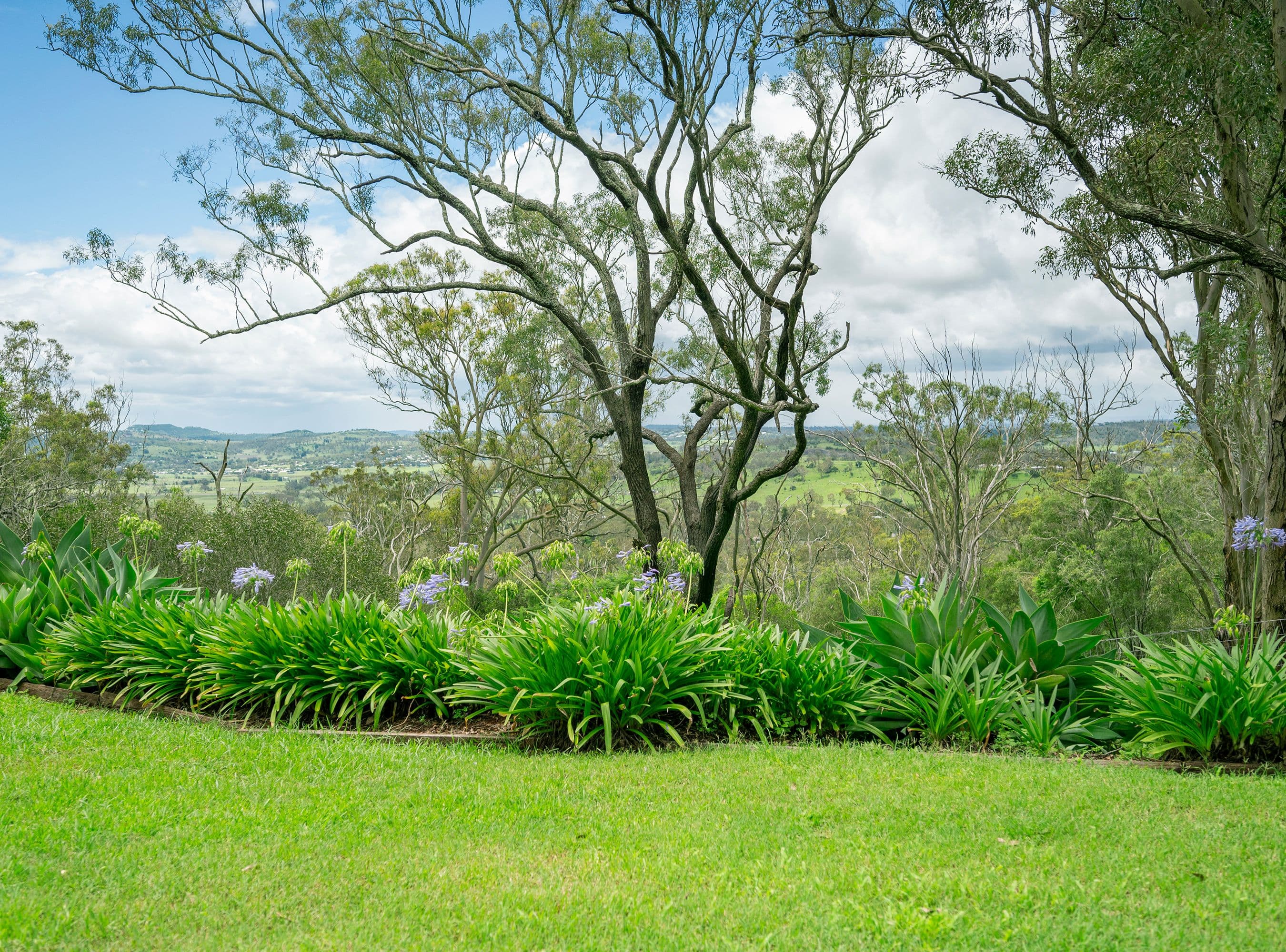 15 McKillop Court, Cranley QLD 4350, Cranley - Thumbnail 3