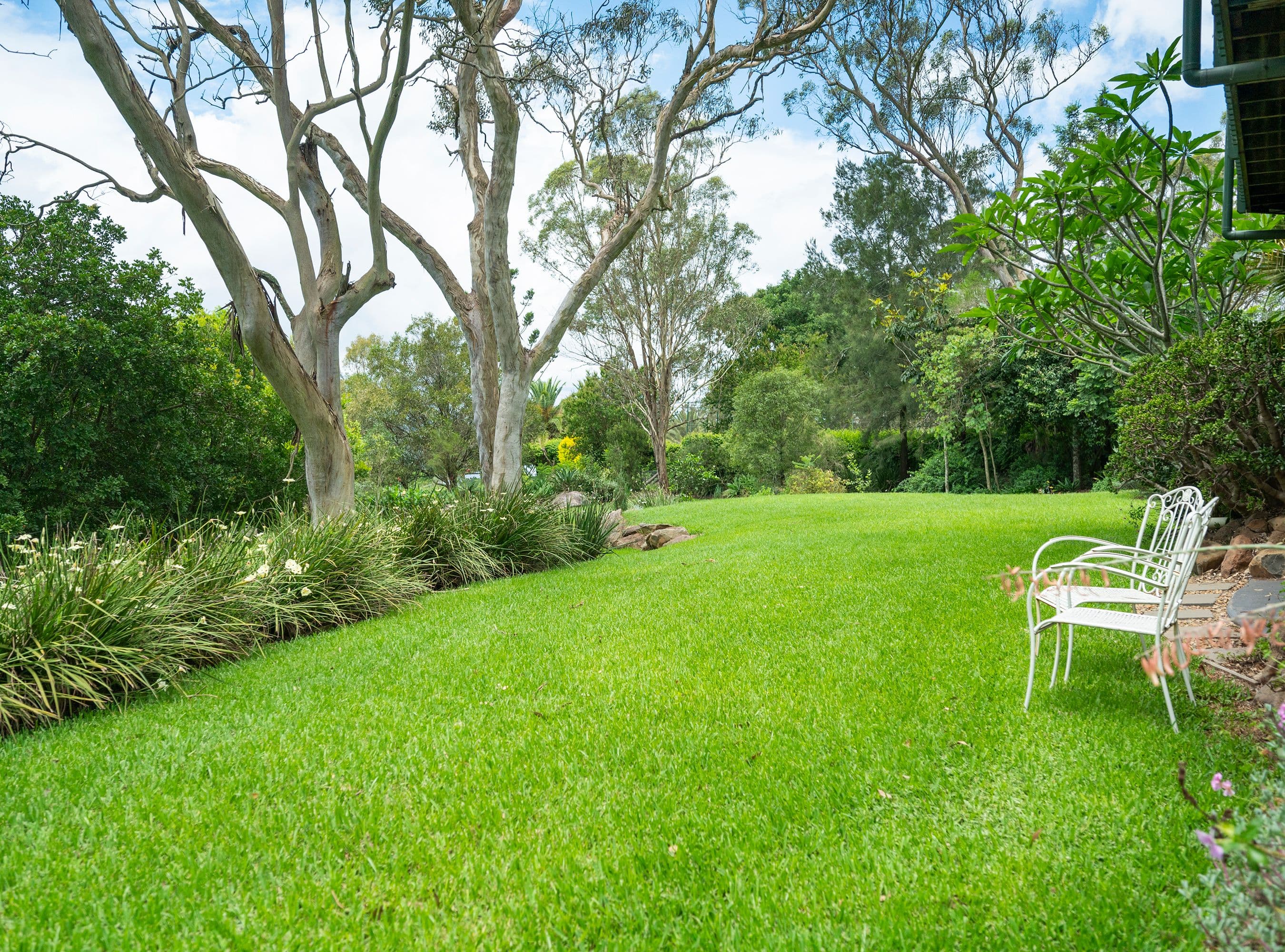 15 McKillop Court, Cranley QLD 4350, Cranley - Thumbnail 5