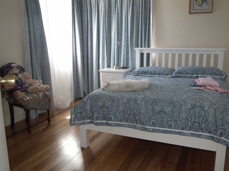 137 Jupiter Street, Maryborough QLD 4650, Maryborough - Thumbnail 3
