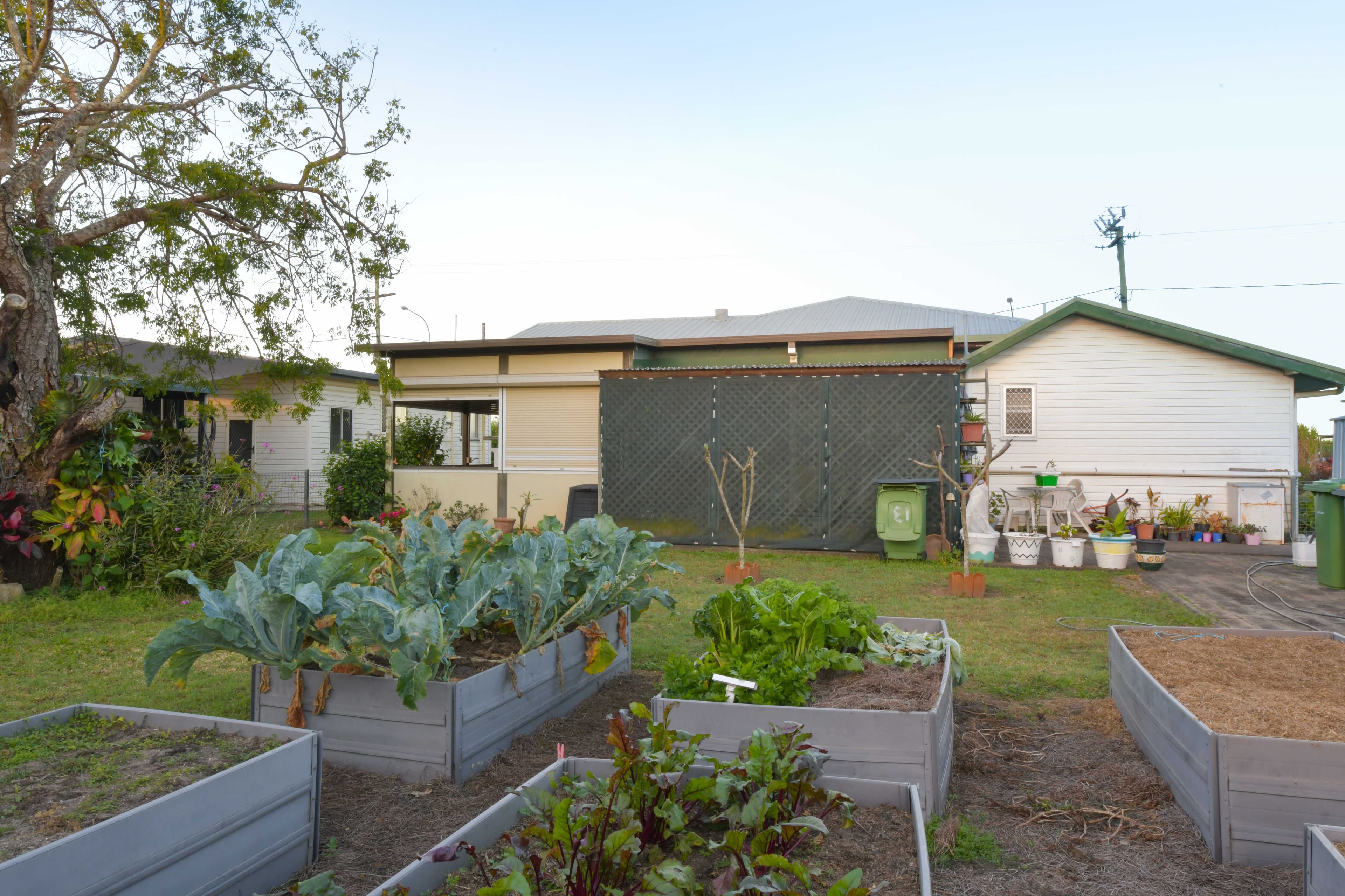 4 Blair Street, Proserpine QLD 4800, Proserpine - Thumbnail 2
