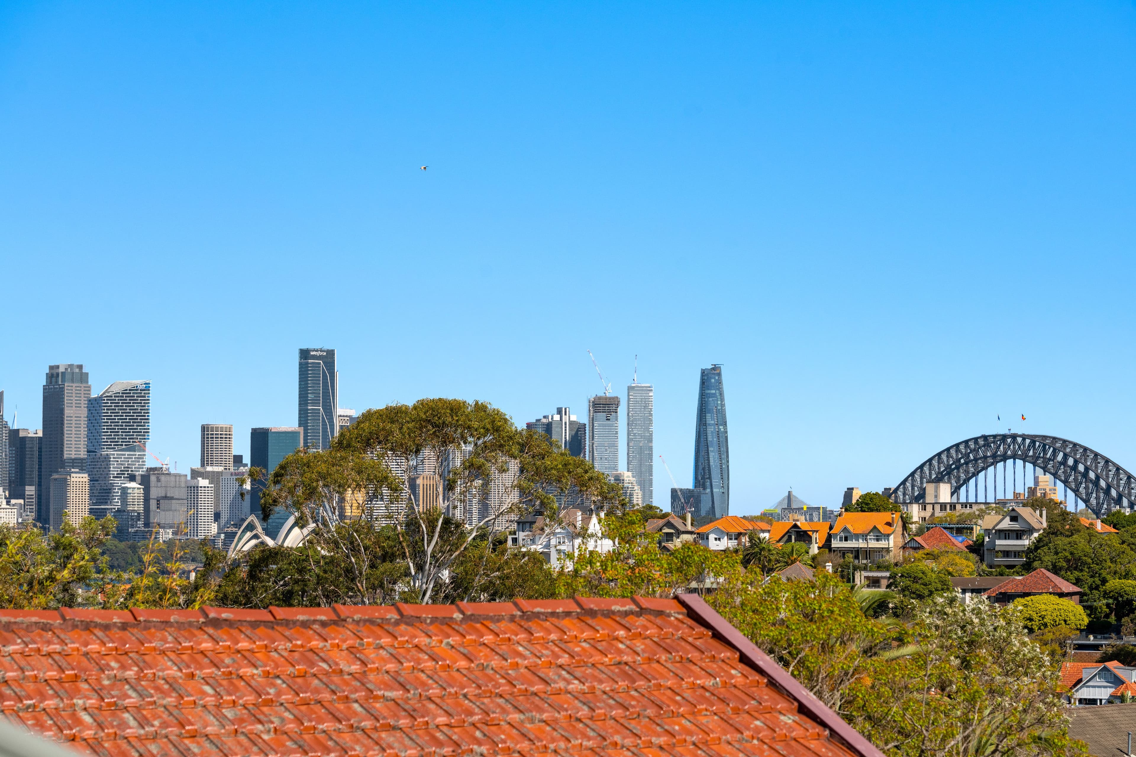 44 Musgrave Street, Mosman NSW 2088, Mosman - Thumbnail 4