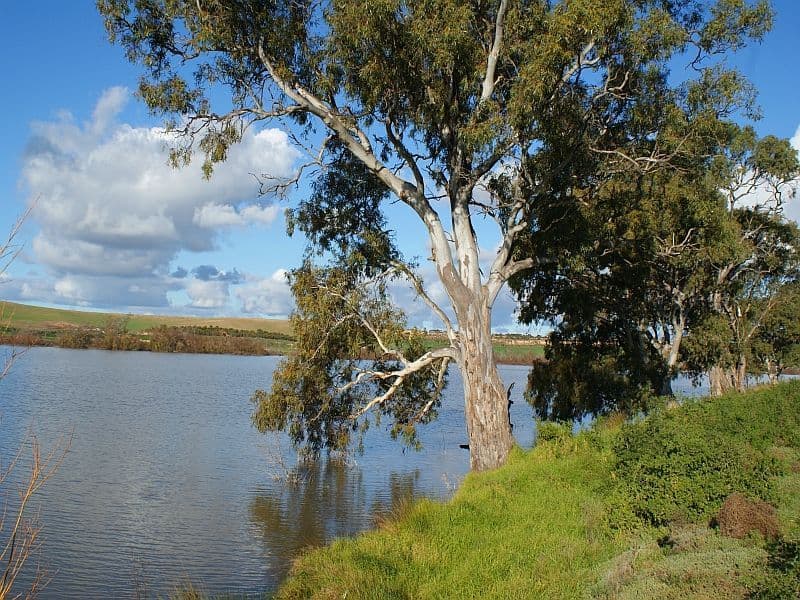 40 Apex Road, MURRAY BRIDGE SA 5253, Murray Bridge - Image 1