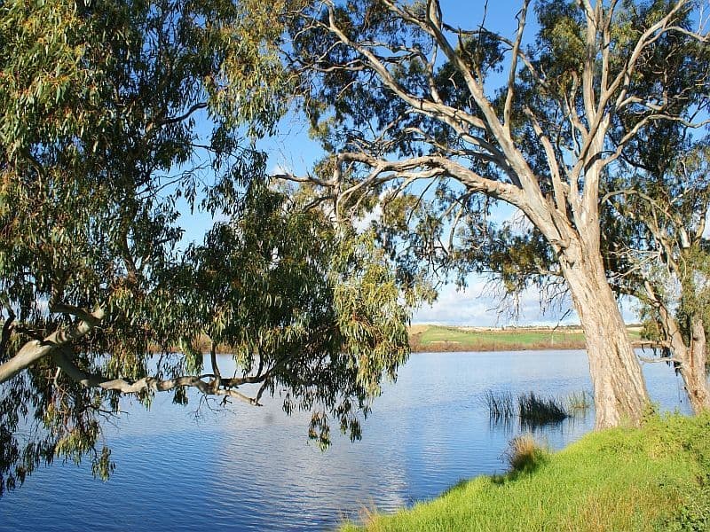 40 Apex Road, MURRAY BRIDGE SA 5253, Murray Bridge - Thumbnail 6