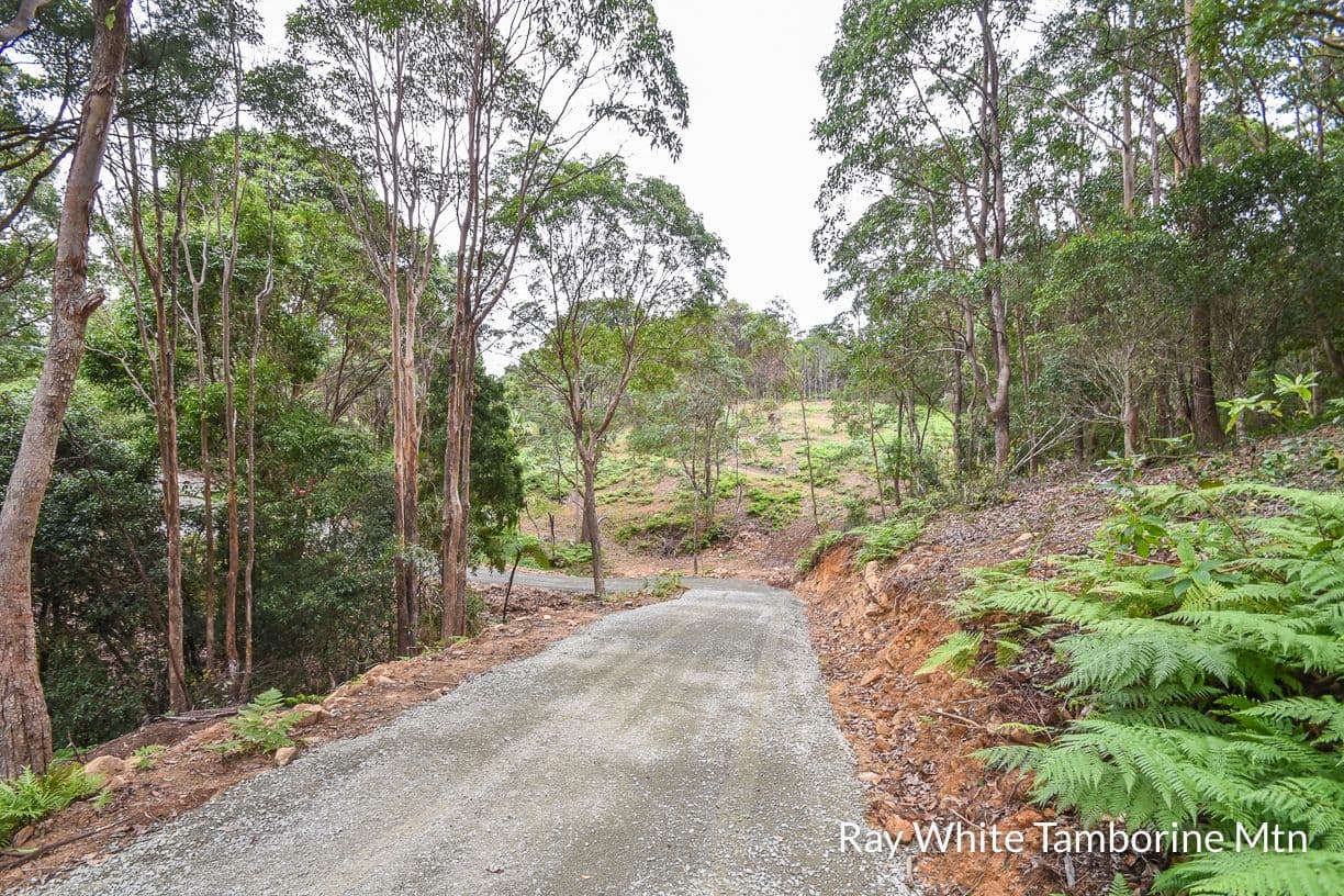 13 Rainer Drive, Tamborine Mountain QLD 4272, Tamborine Mountain - Thumbnail 4