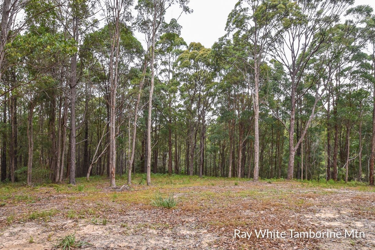 13 Rainer Drive, Tamborine Mountain QLD 4272, Tamborine Mountain - Thumbnail 5