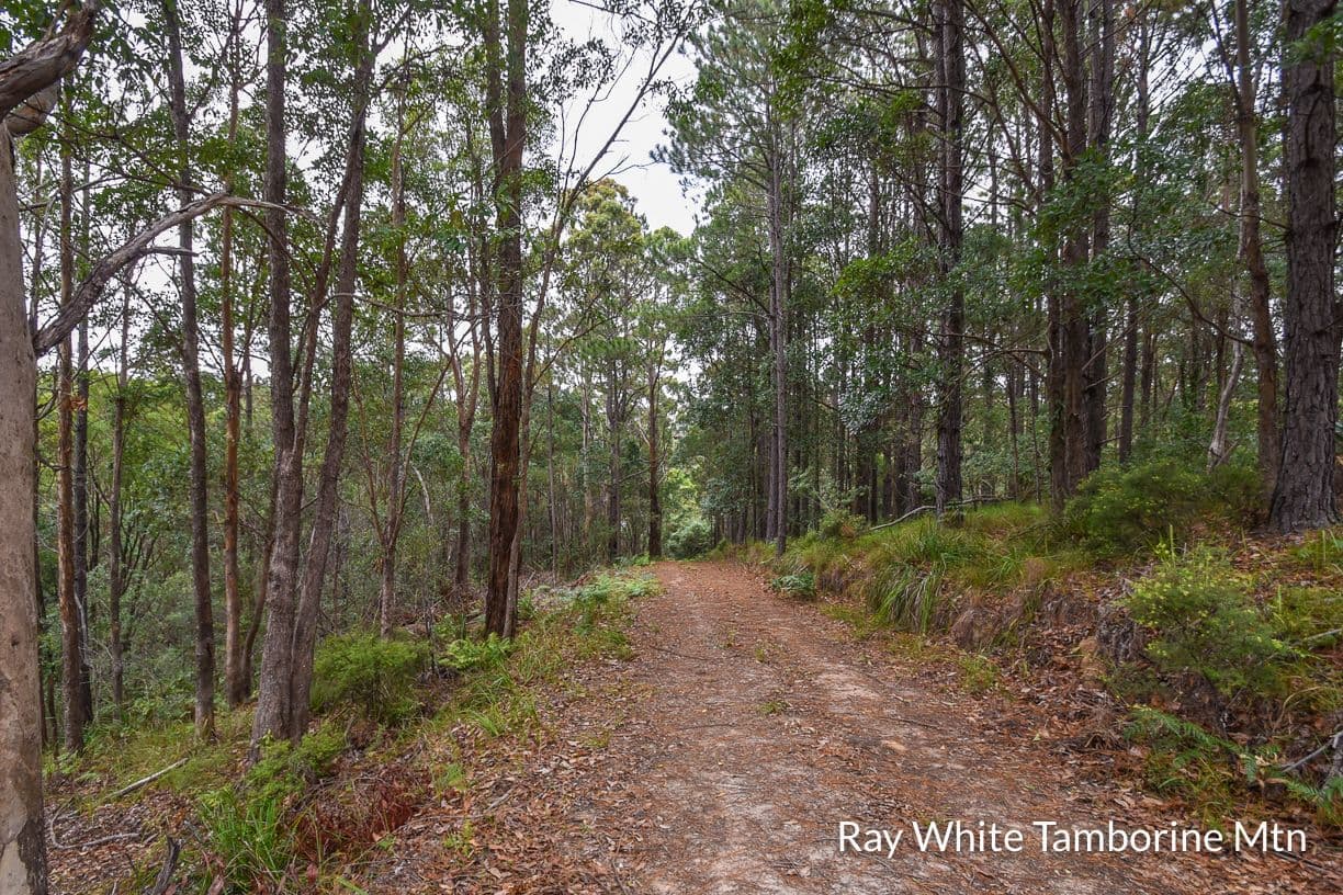 13 Rainer Drive, Tamborine Mountain QLD 4272, Tamborine Mountain - Thumbnail 7