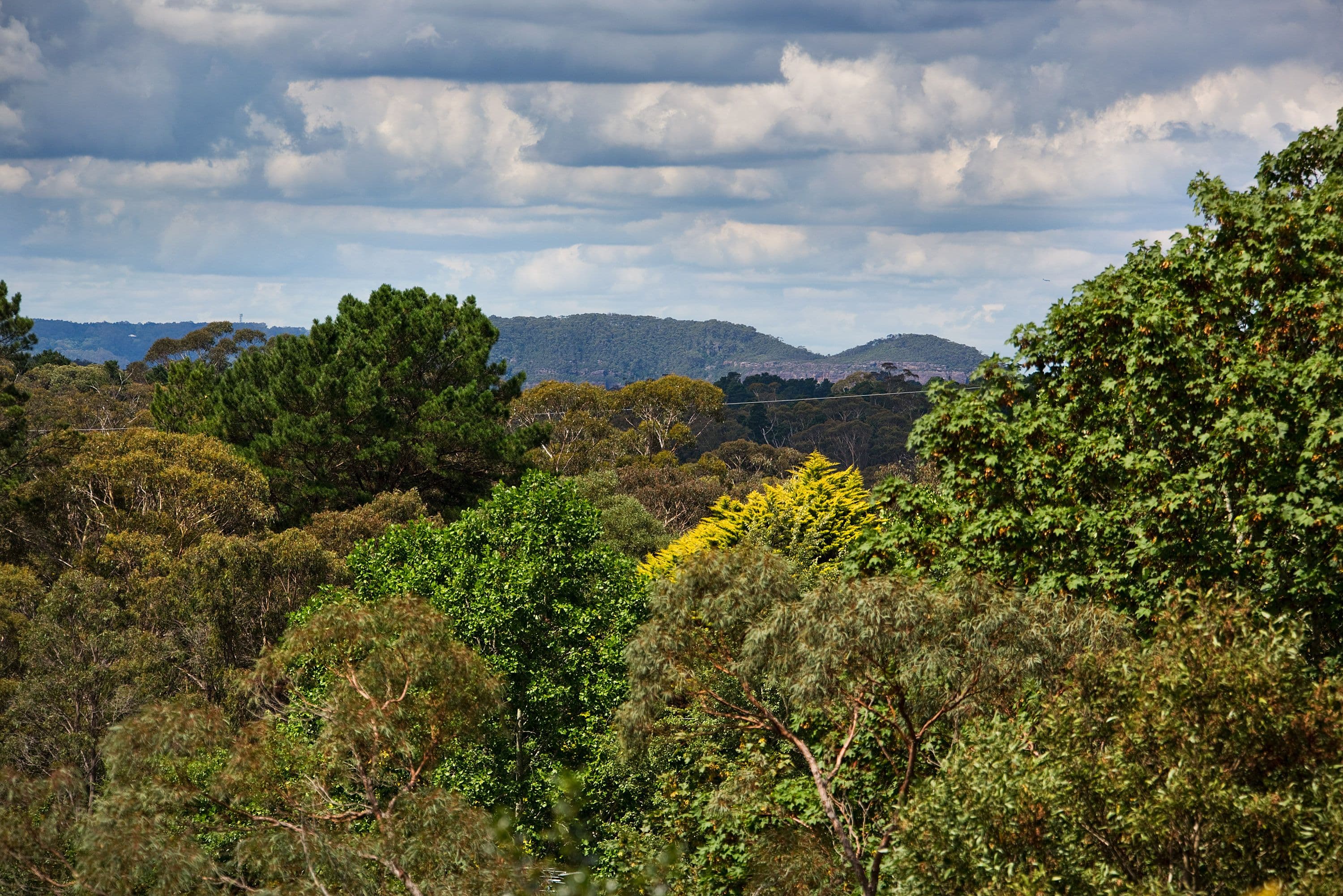 298 Great Western Highway, Blackheath - Thumbnail 8