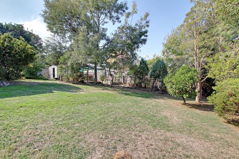 10 NEWMAN Road, MOOROOLBARK VIC 3138, Mooroolbark - Thumbnail 4