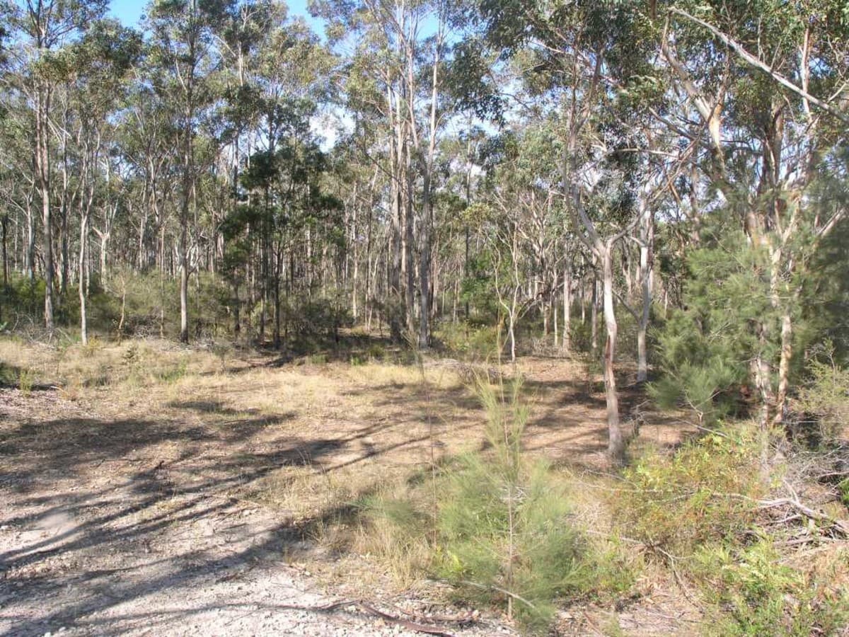 1 Waratah Place, TAHMOOR, Tahmoor - Thumbnail 2