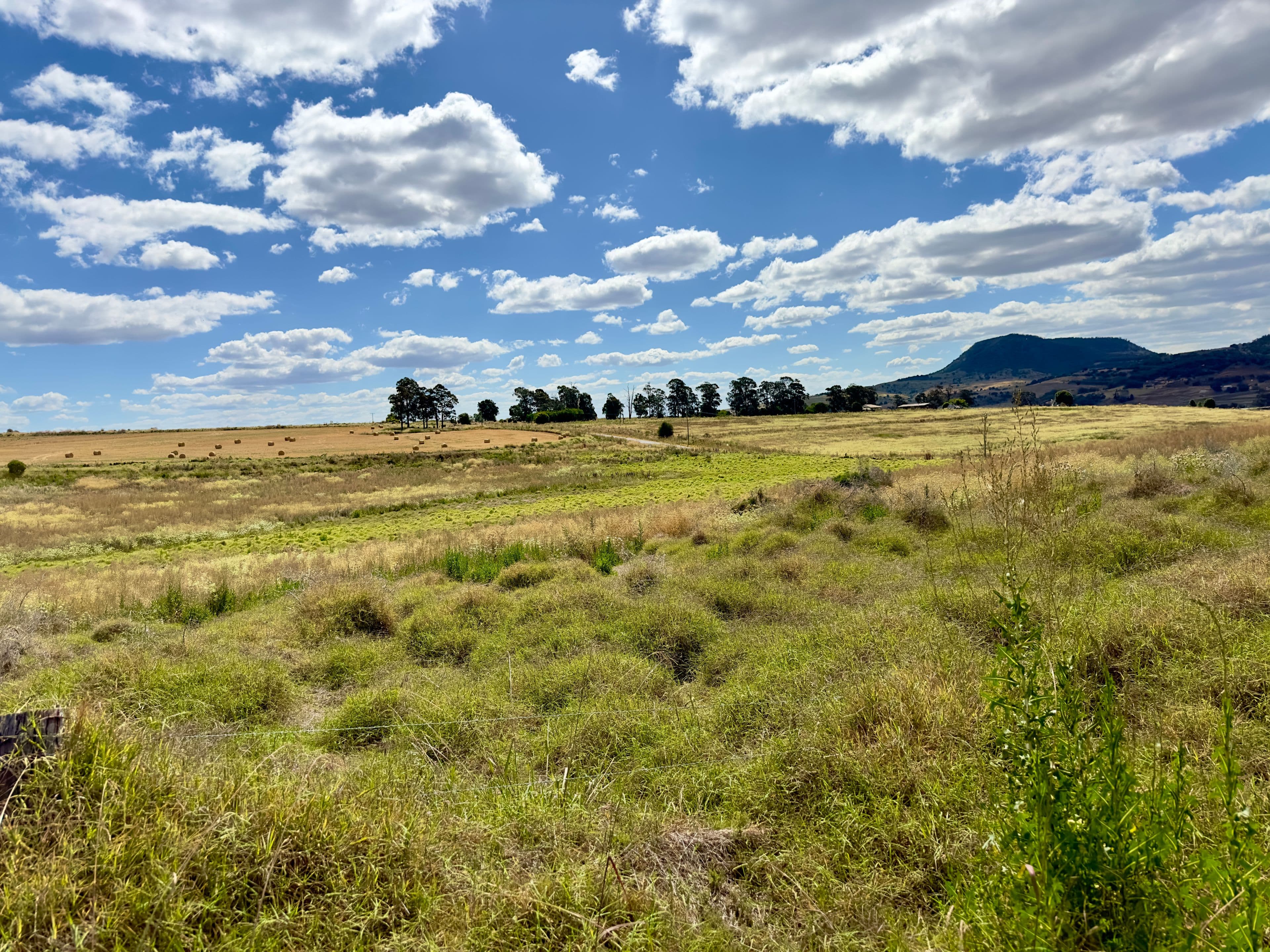 L 438 Top Swanfels Road, Swanfels QLD 4371, Swanfels - Thumbnail 8