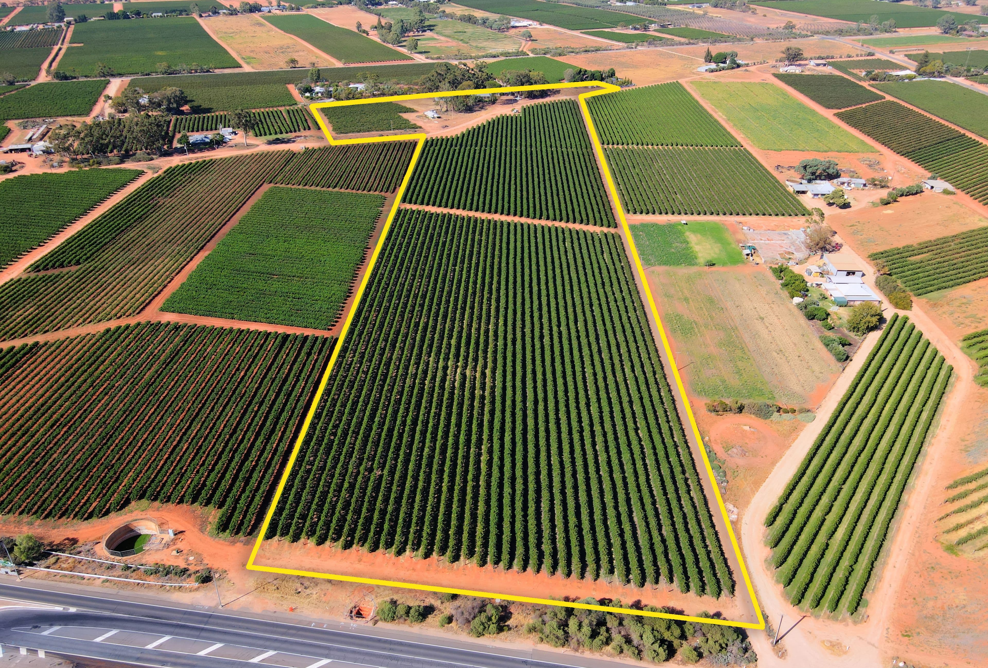17660 Sturt Highway, Barmera SA 5345, Barmera - Thumbnail 2