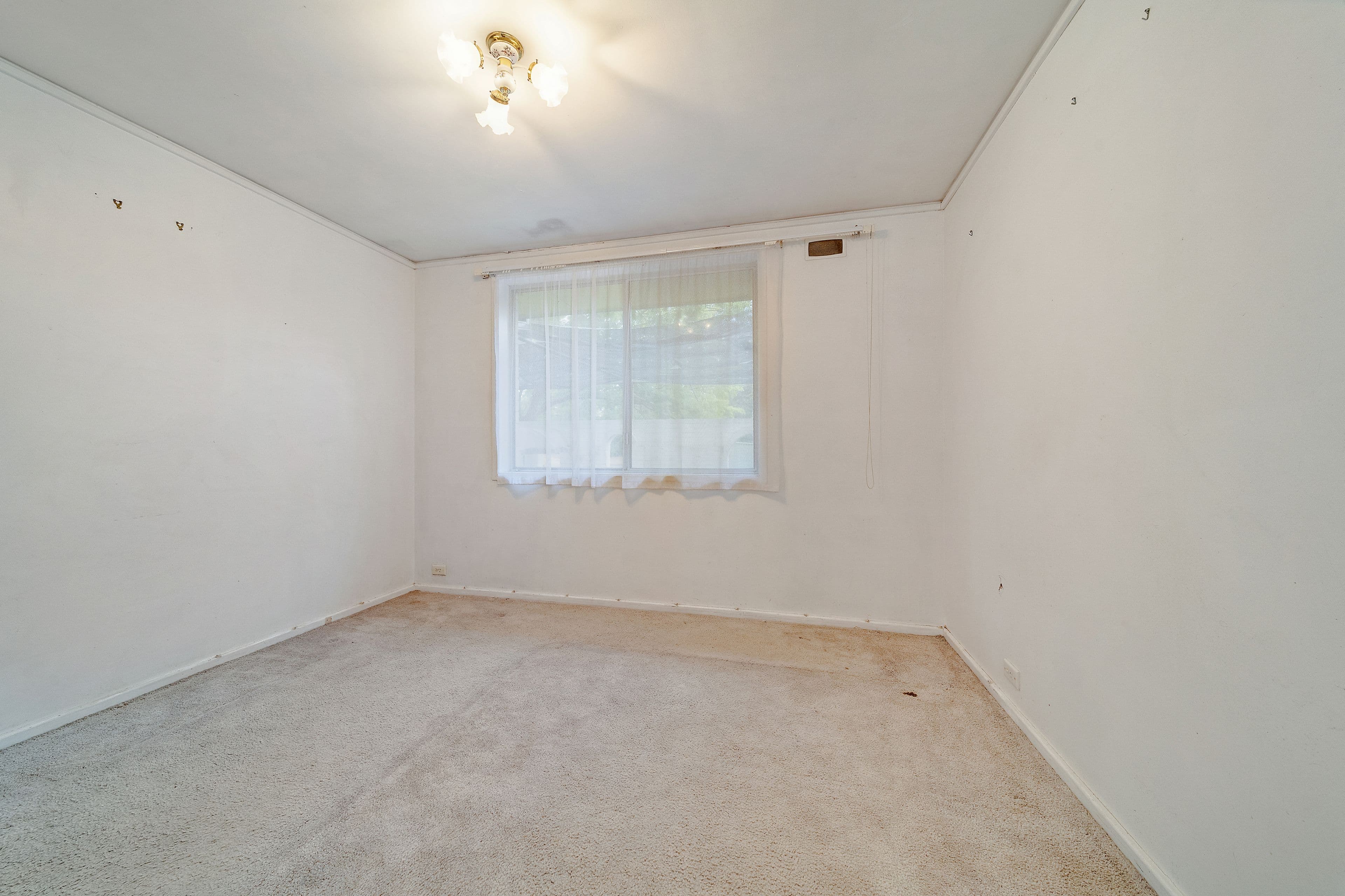 15 Skinner Street, Cook ACT 2614, Cook - Thumbnail 8