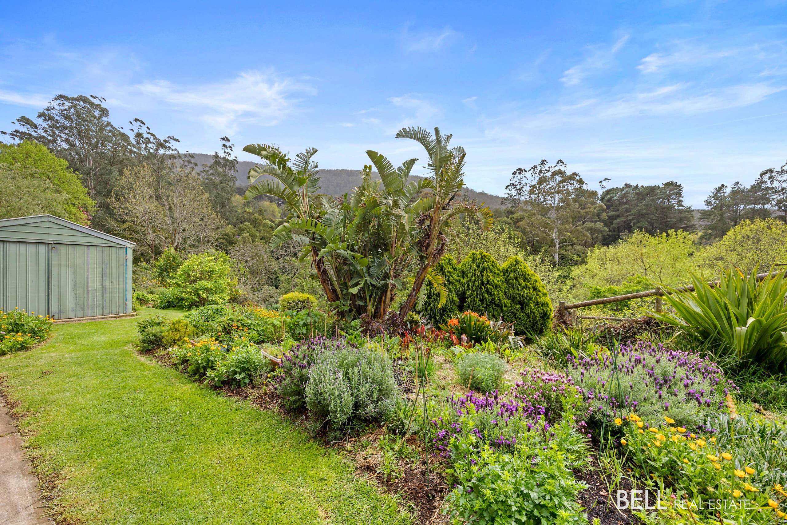 36 Donna Buang Road, WARBURTON, Warburton - Thumbnail 5