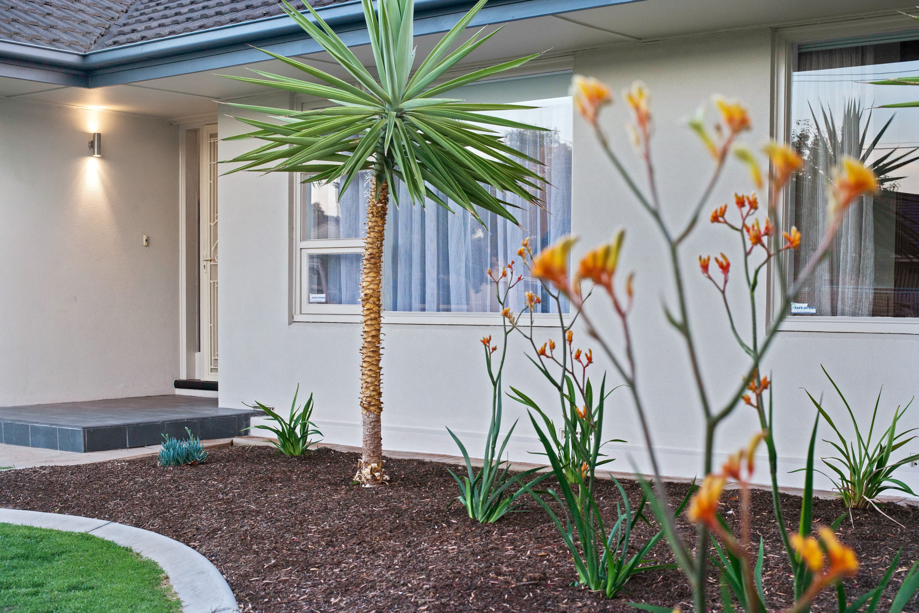 4 Allendale Avenue, Novar Gardens SA 5040, Novar Gardens - Thumbnail 2