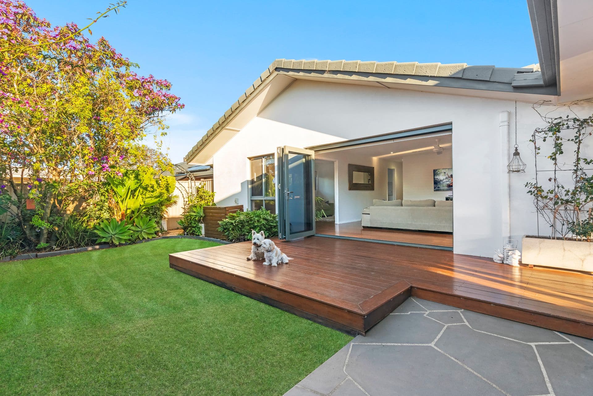 20 Hopbush Street, Palm Beach QLD 4221, Palm Beach - Thumbnail 4