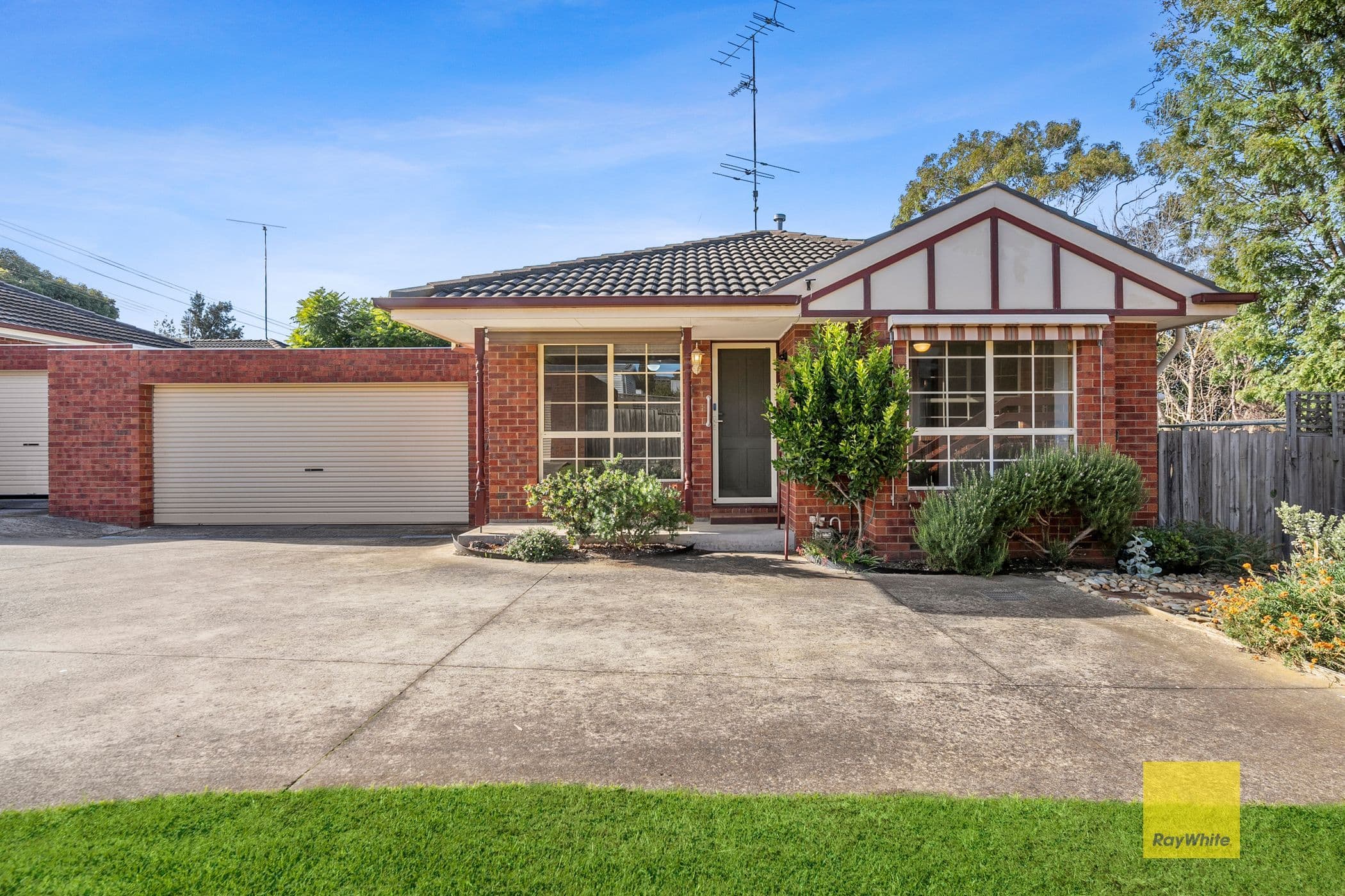 239-241 Mount Pleasant Road, Highton VIC 3216, Highton - Image 1