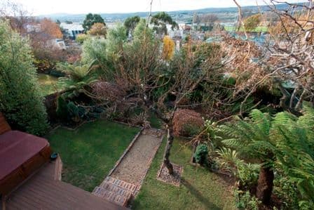 43 Elphin Road, LAUNCESTON TAS 7250, Launceston - Thumbnail 2
