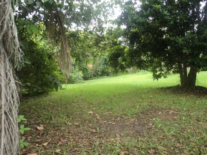 11 French Street, TUGUN QLD 4224, Tugun - Thumbnail 2