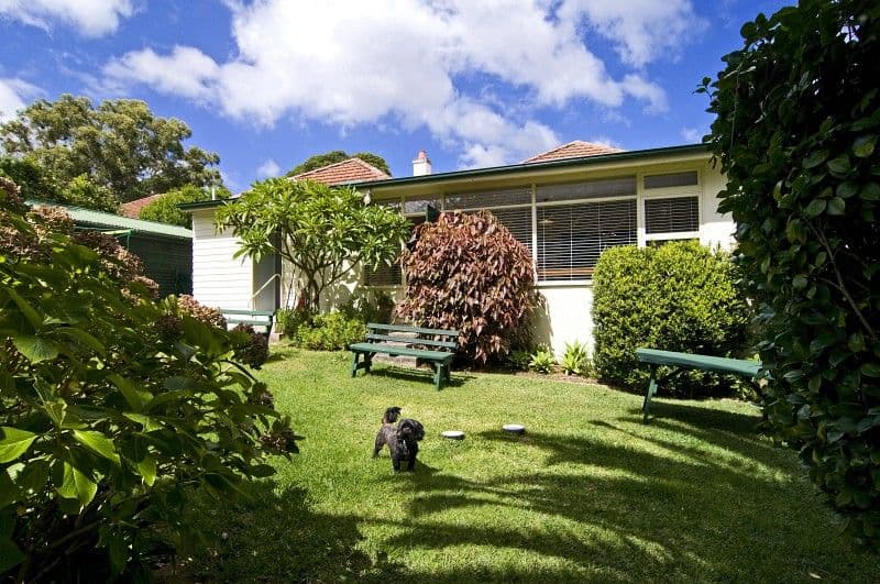 63 Centennial Avenue, CHATSWOOD NSW 2067, Chatswood - Thumbnail 5