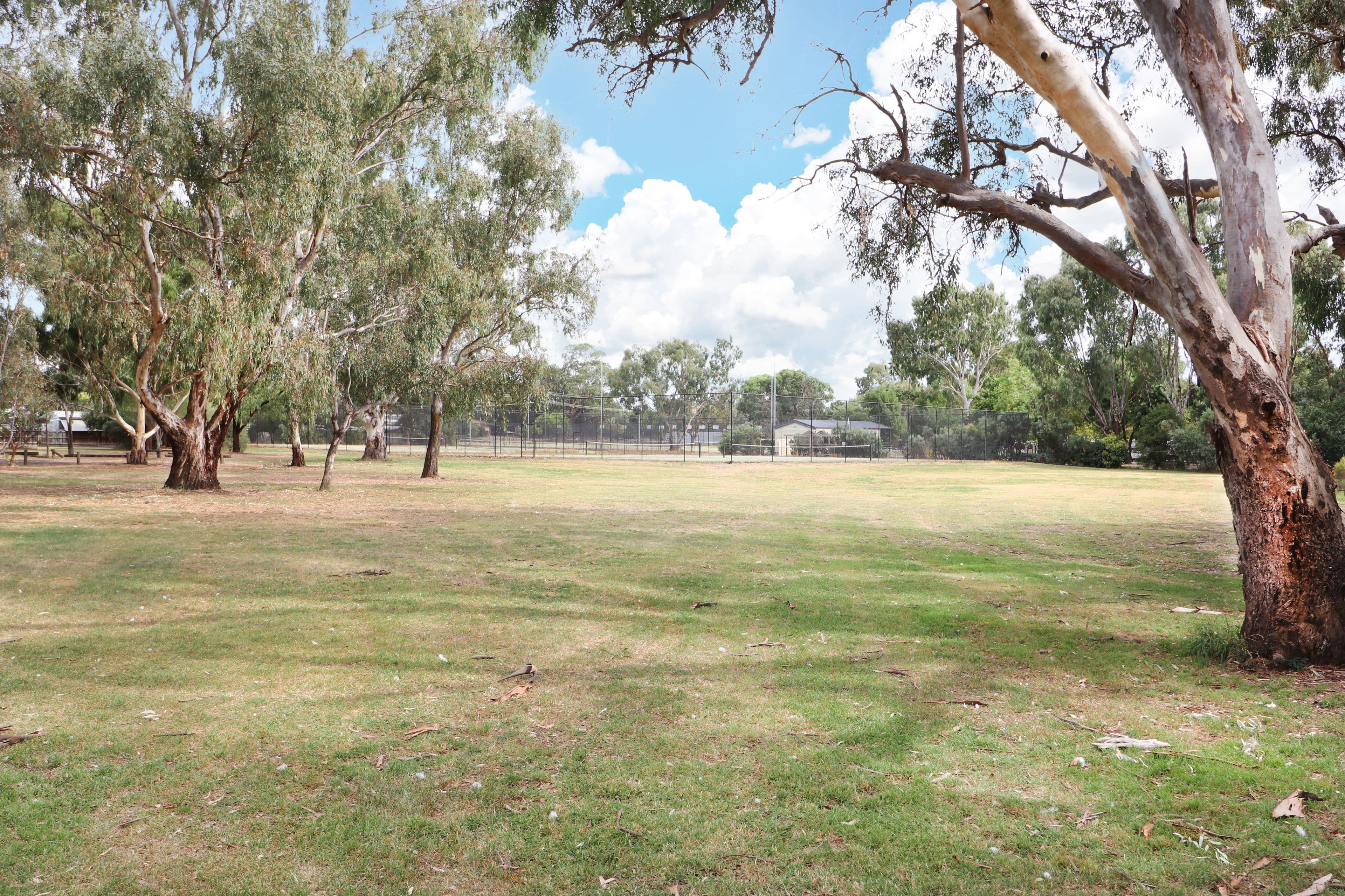 14 Minerva Street, Mansfield VIC 3722, Mansfield - Thumbnail 3