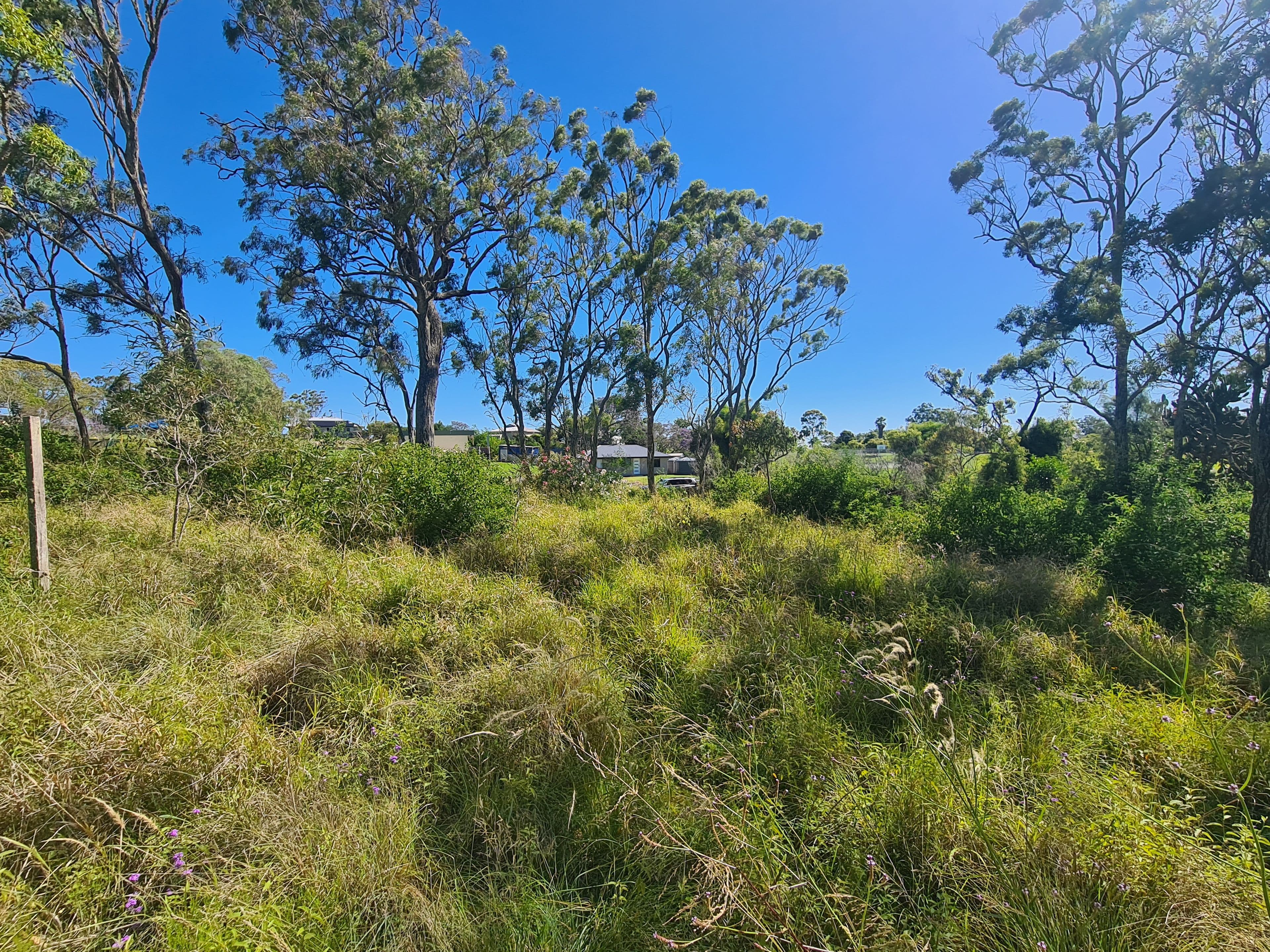 Lot 16 Garrett Street, Haden QLD 4353, Haden - Thumbnail 2