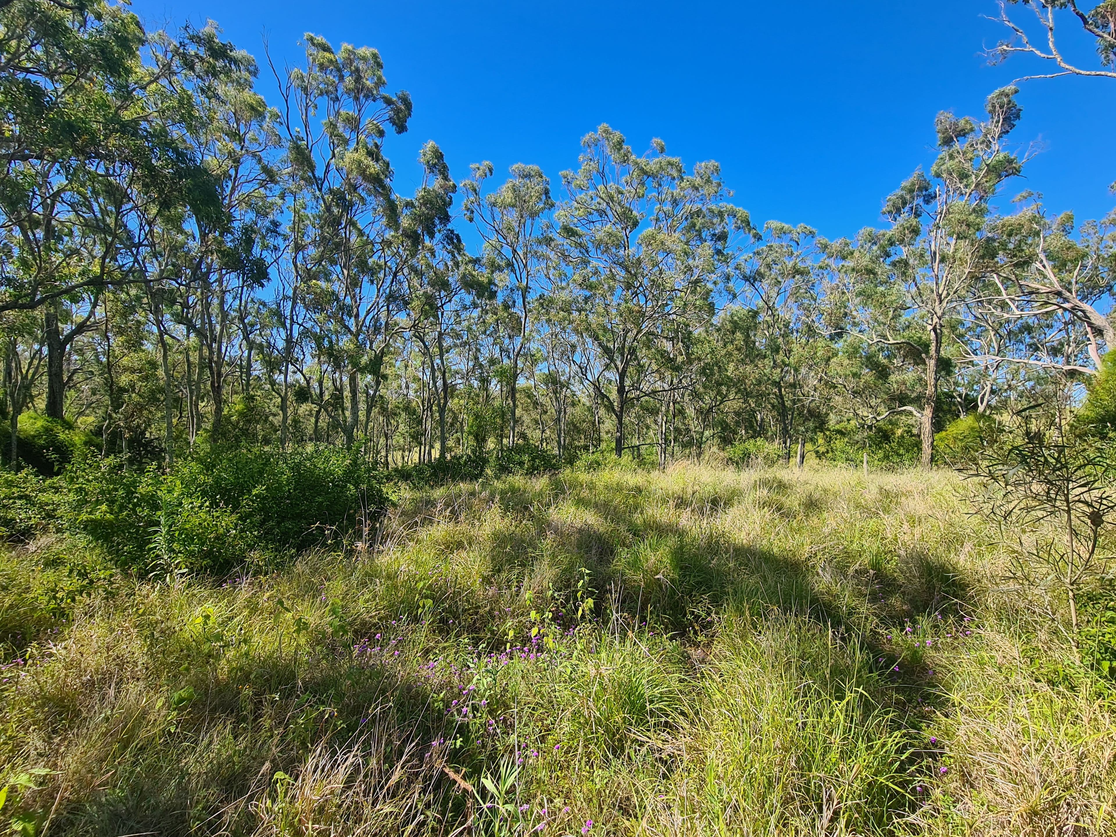 Lot 16 Garrett Street, Haden QLD 4353, Haden - Thumbnail 3