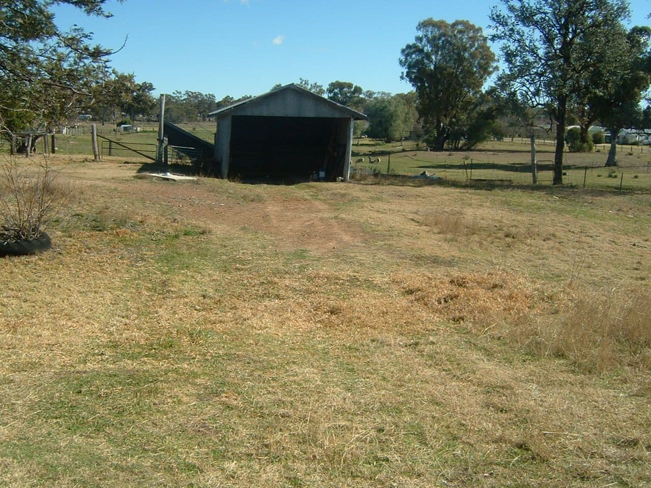 7 Bala Street, ASHFORD NSW 2361, Ashford - Thumbnail 4