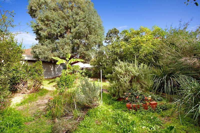 153 Ballantyne Street, THORNBURY VIC 3071, Thornbury - Thumbnail 5