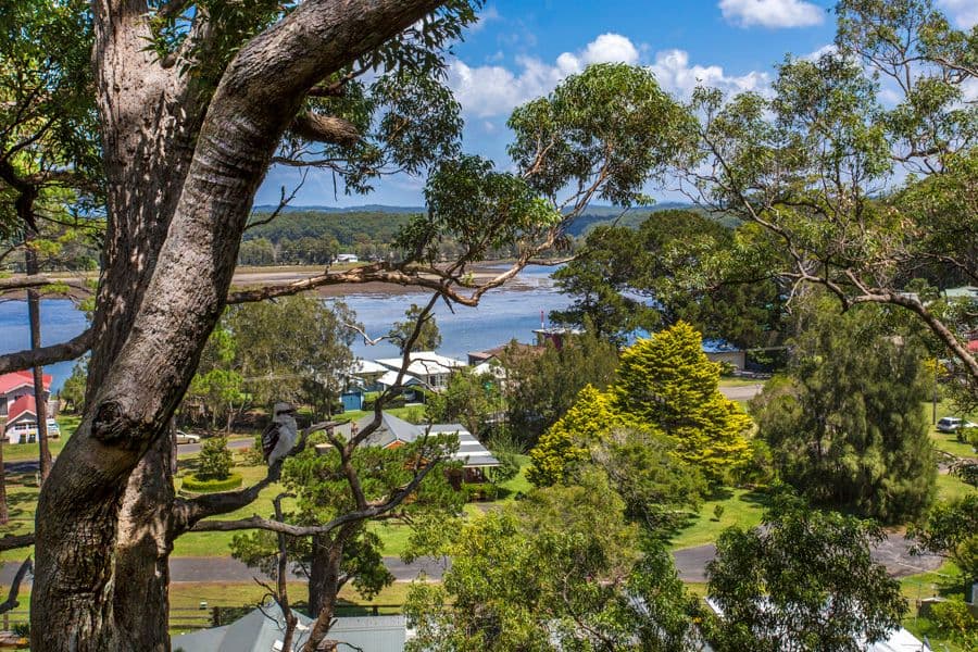 74 Canberra Crescent, Burrill Lake - Thumbnail 5