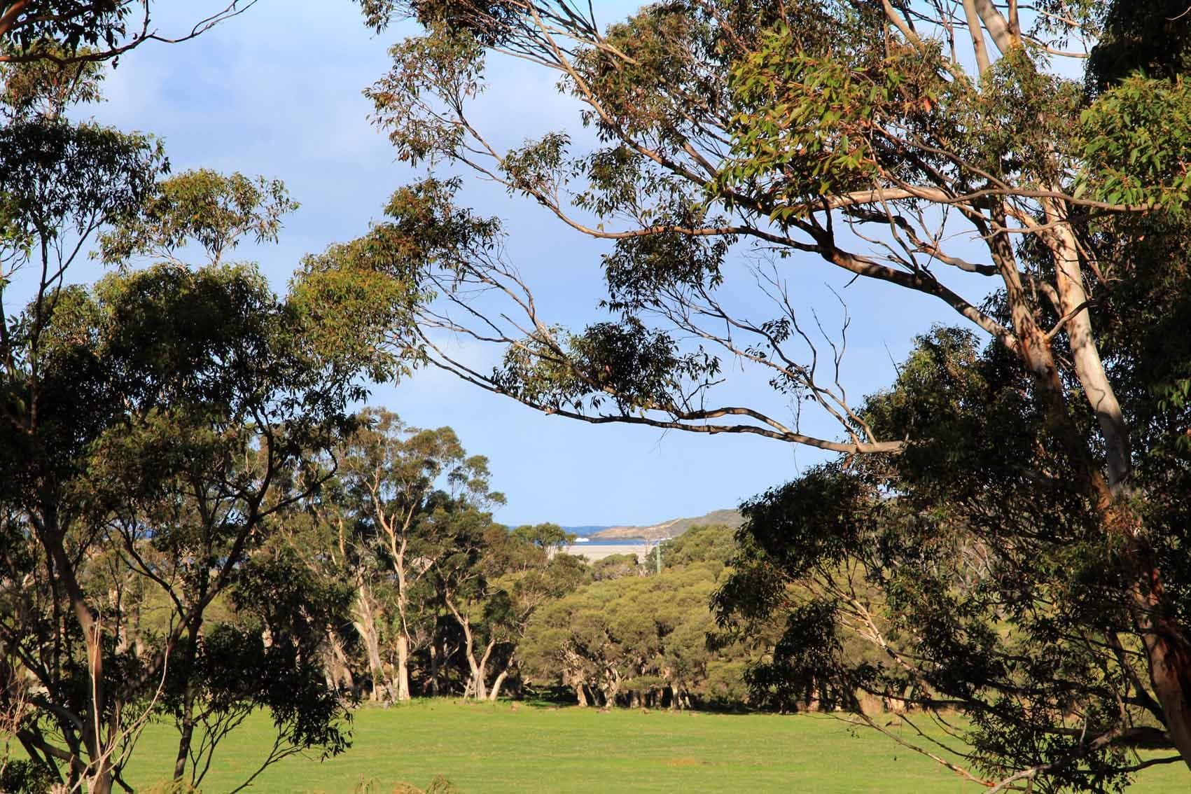 26 Lights Road, Denmark WA 6333, Denmark - Thumbnail 2