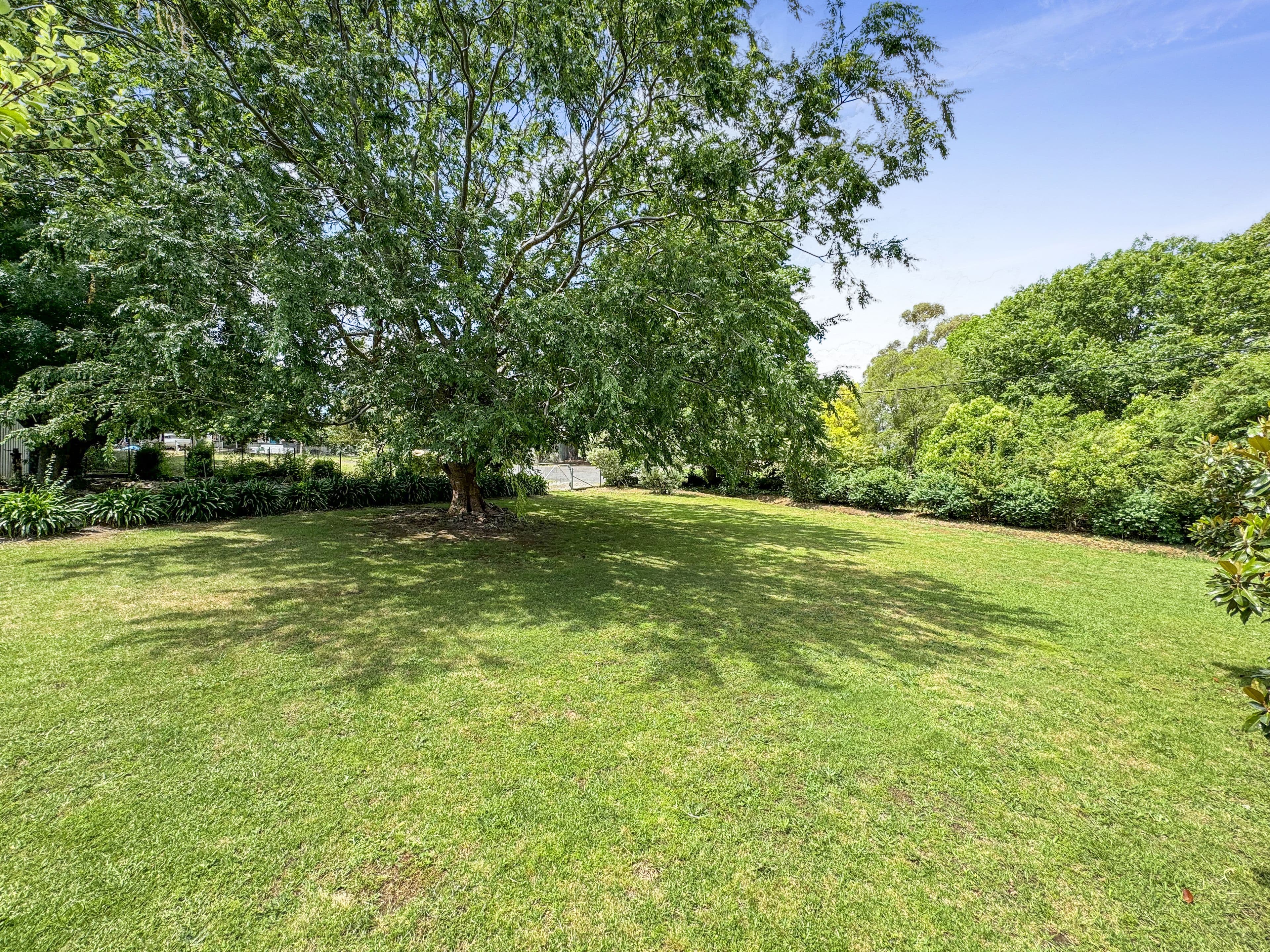 71 Gilmore Street, Adelong NSW 2729, Adelong - Thumbnail 5