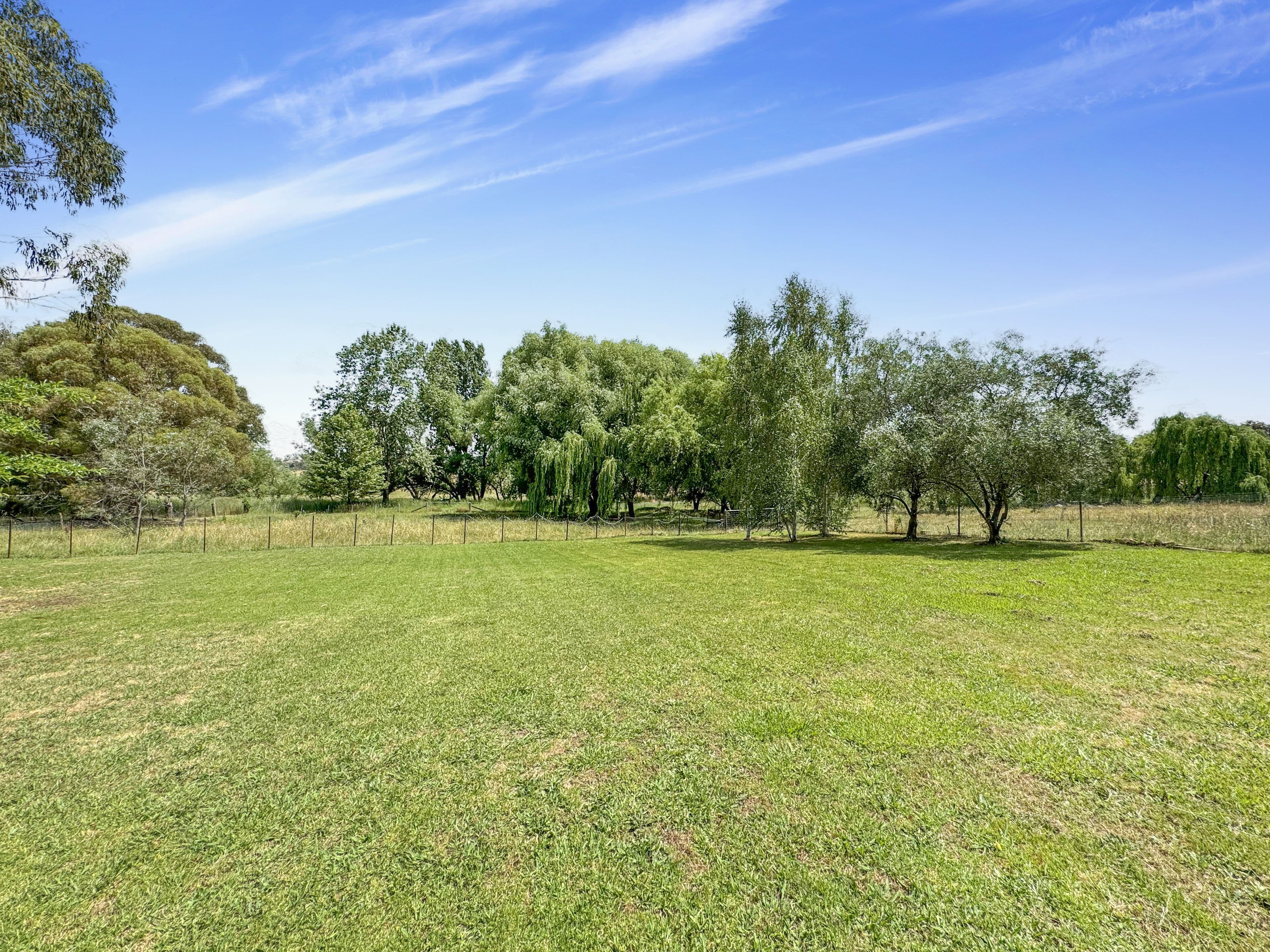 71 Gilmore Street, Adelong NSW 2729, Adelong - Thumbnail 6