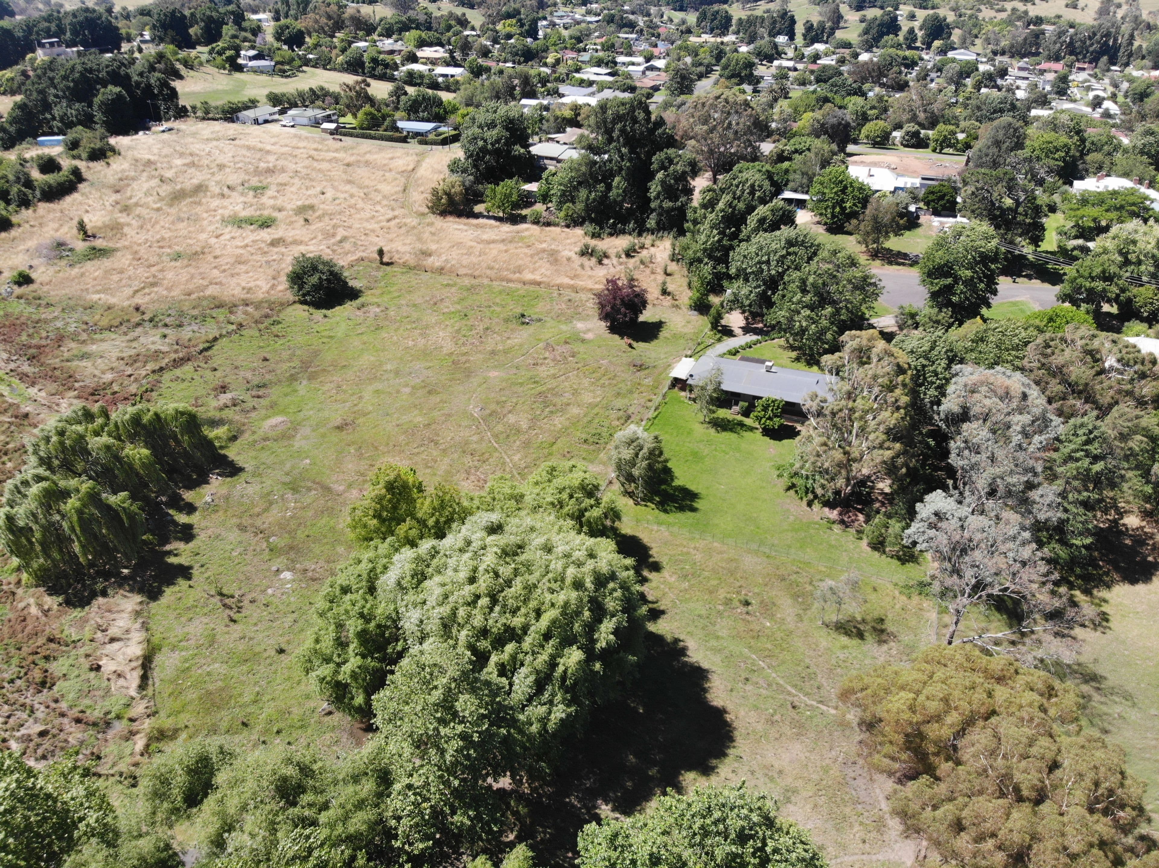 71 Gilmore Street, Adelong NSW 2729, Adelong - Thumbnail 8