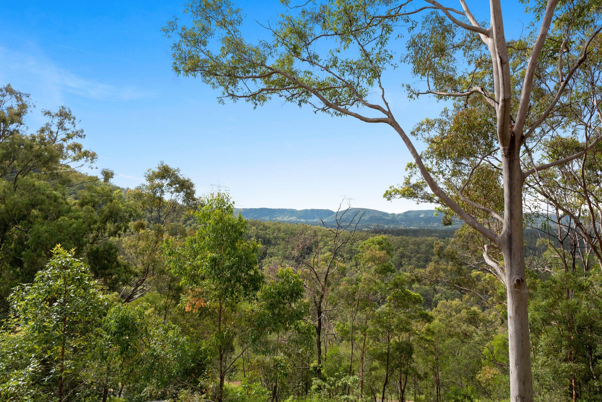 168 Boongala Court, Kobble Creek QLD 4520, Kobble Creek - Thumbnail 2
