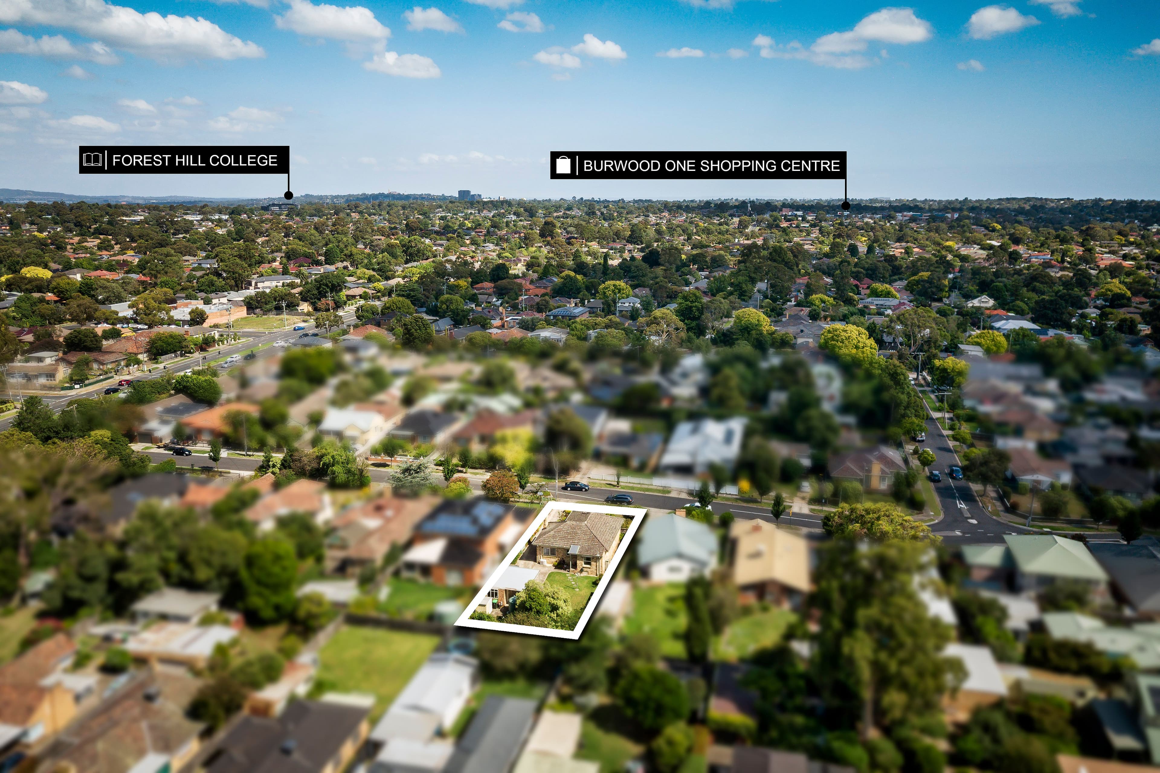 15 Marama Street, Blackburn South VIC 3130, Blackburn South - Thumbnail 3