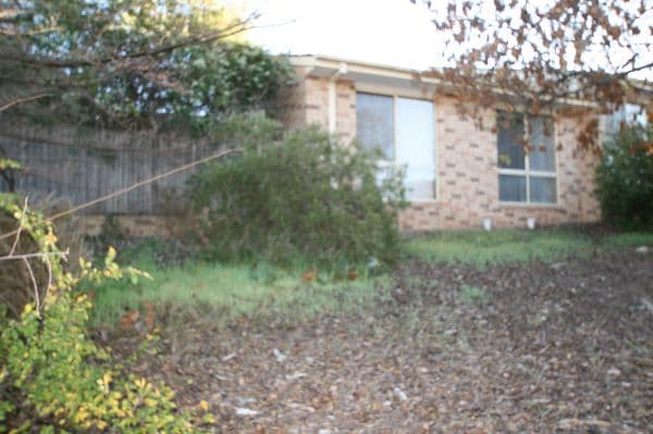 24  Bungaree Crescent, NGUNNAWAL ACT 2913, Ngunnawal - Thumbnail 5