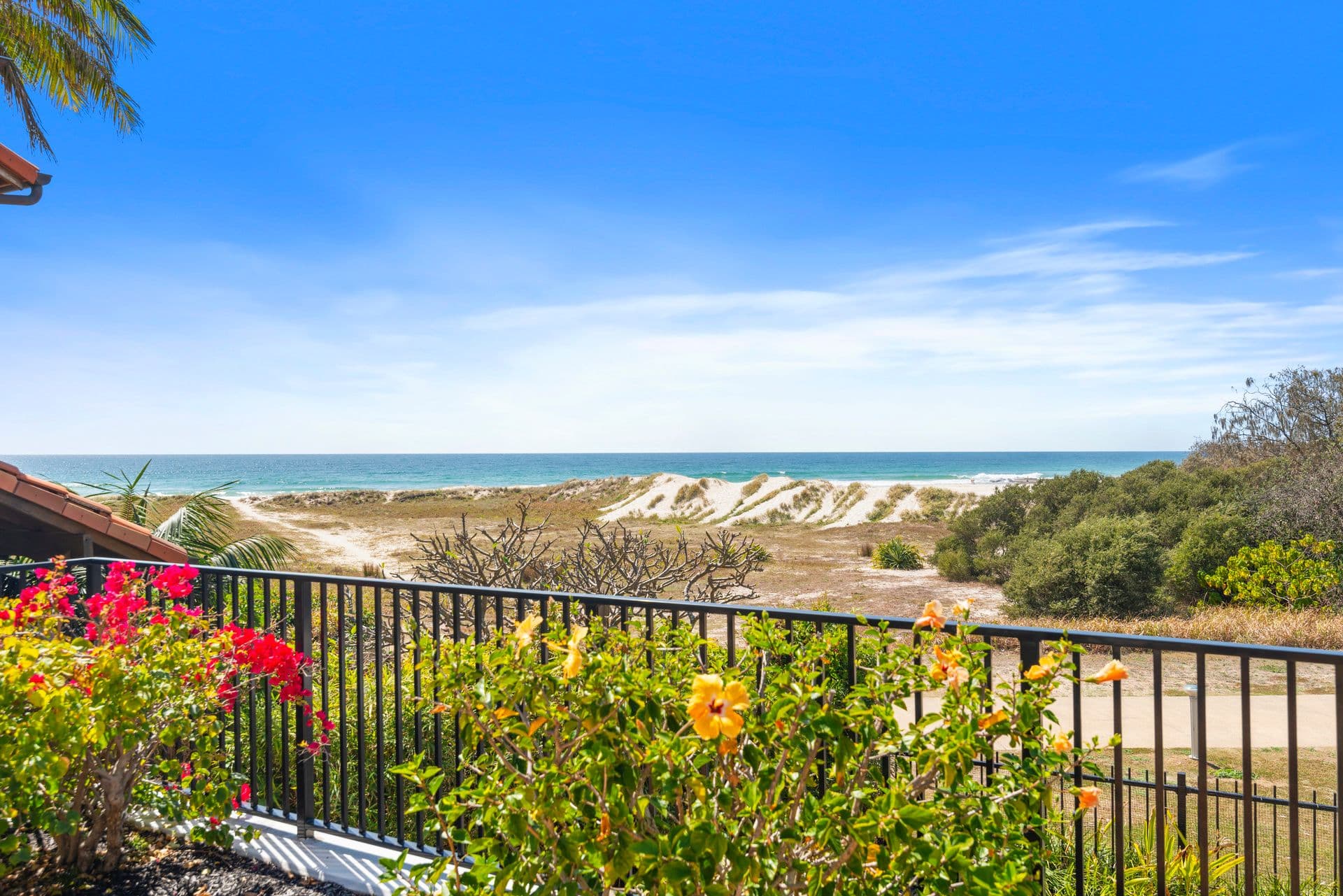 31 Teemangum Street, Currumbin QLD 4223, Currumbin - Thumbnail 2