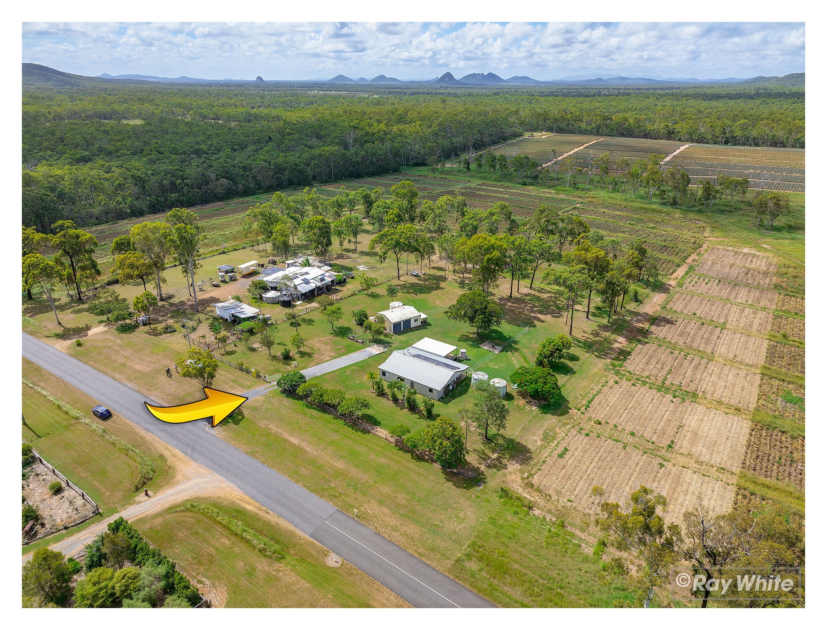 72 Botos Road, Cawarral QLD 4702, Cawarral - Thumbnail 5