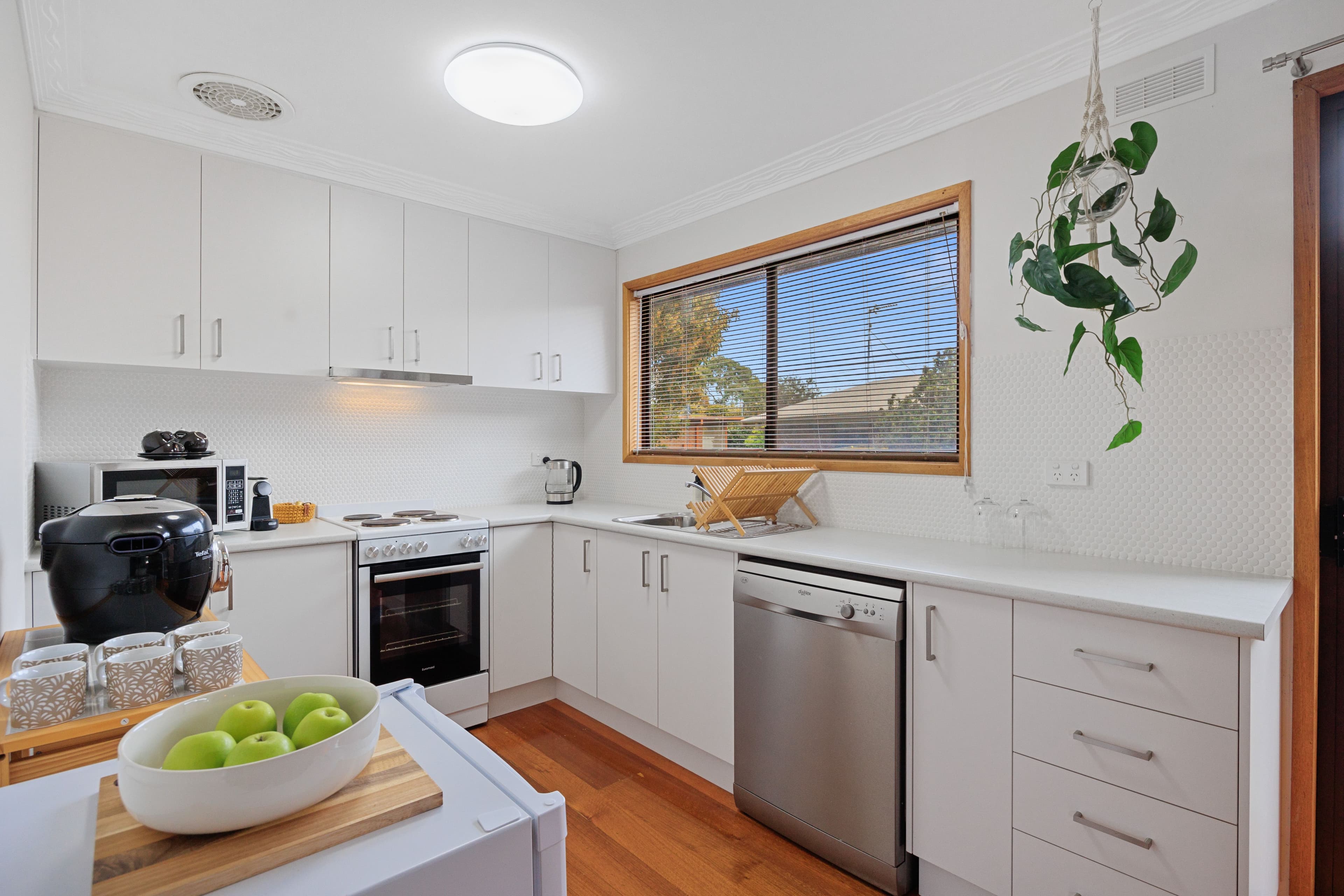 43 Freda Street, Inverloch VIC 3996, Inverloch - Thumbnail 6