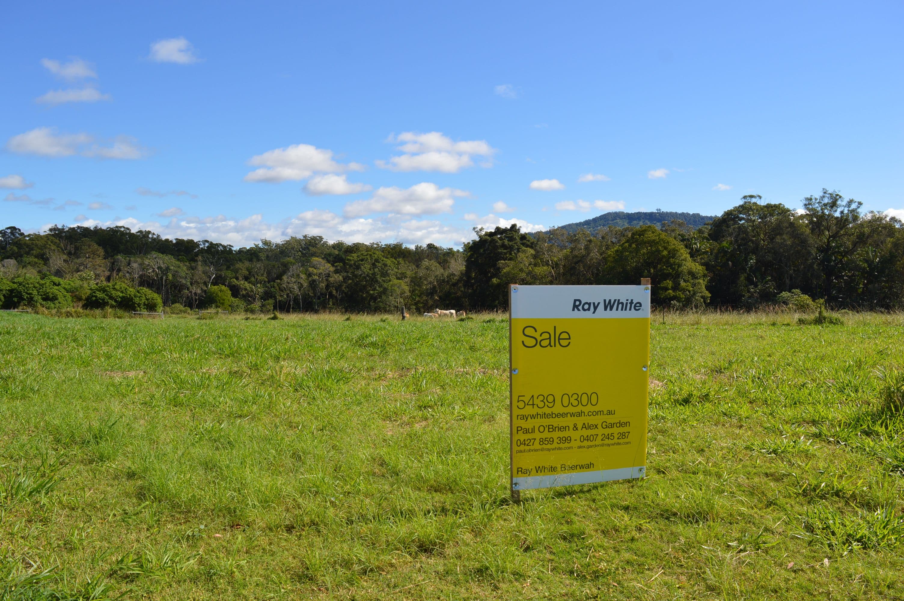 Lot 100 Lloyd Street, Beerwah QLD 4519, Beerwah - Thumbnail 3