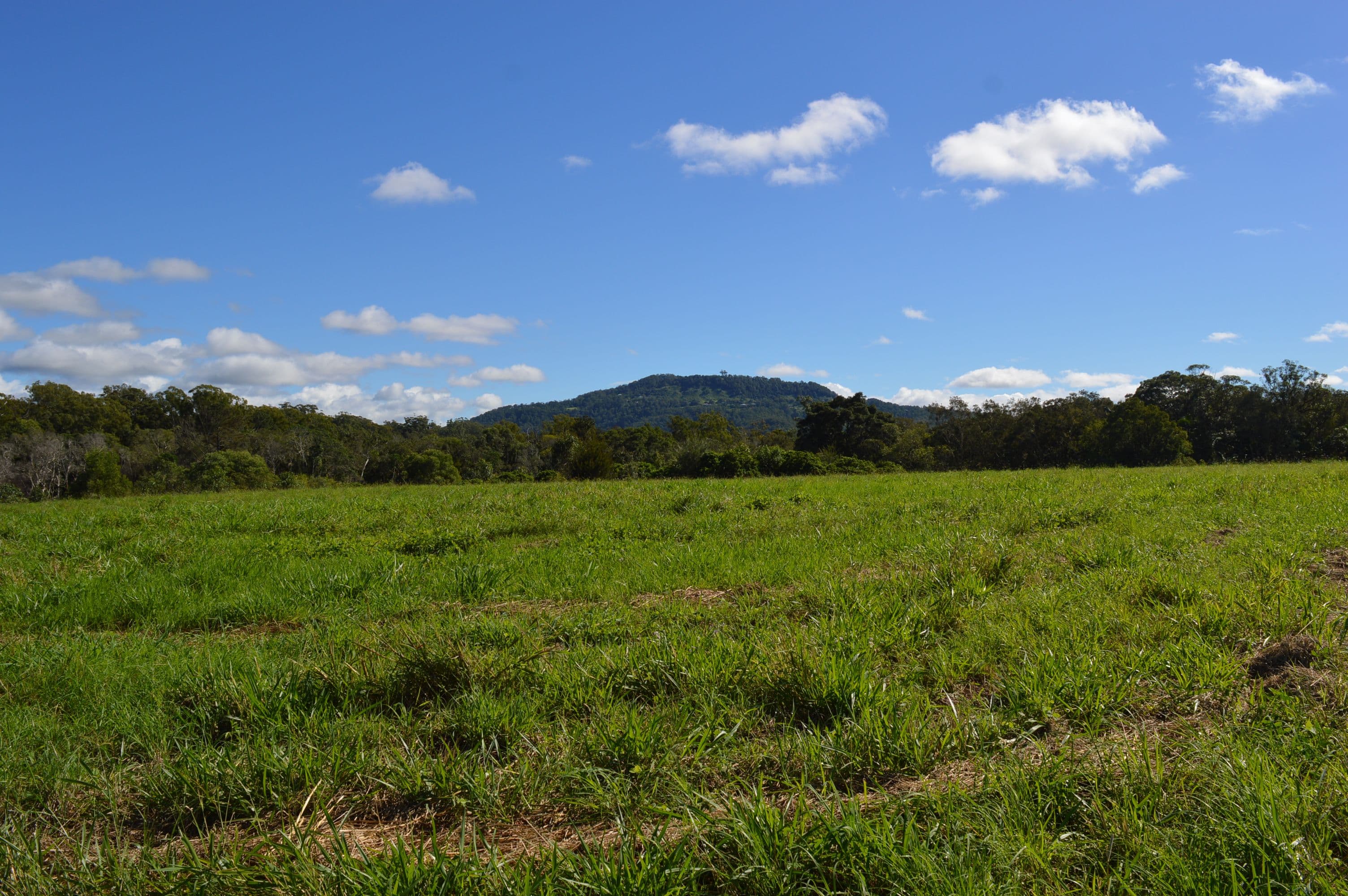 Lot 100 Lloyd Street, Beerwah QLD 4519, Beerwah - Thumbnail 4