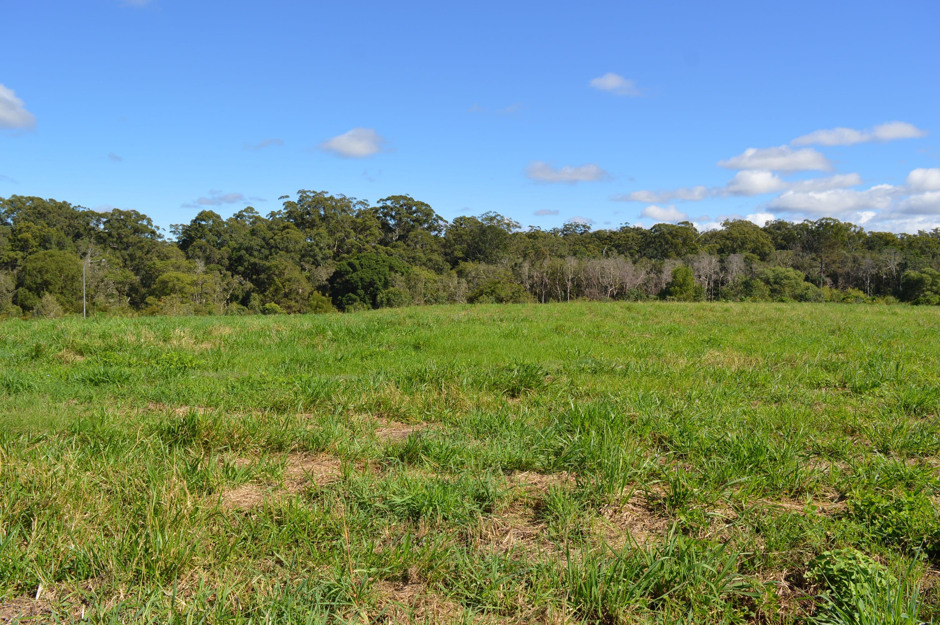 Lot 100 Lloyd Street, Beerwah QLD 4519, Beerwah - Thumbnail 5