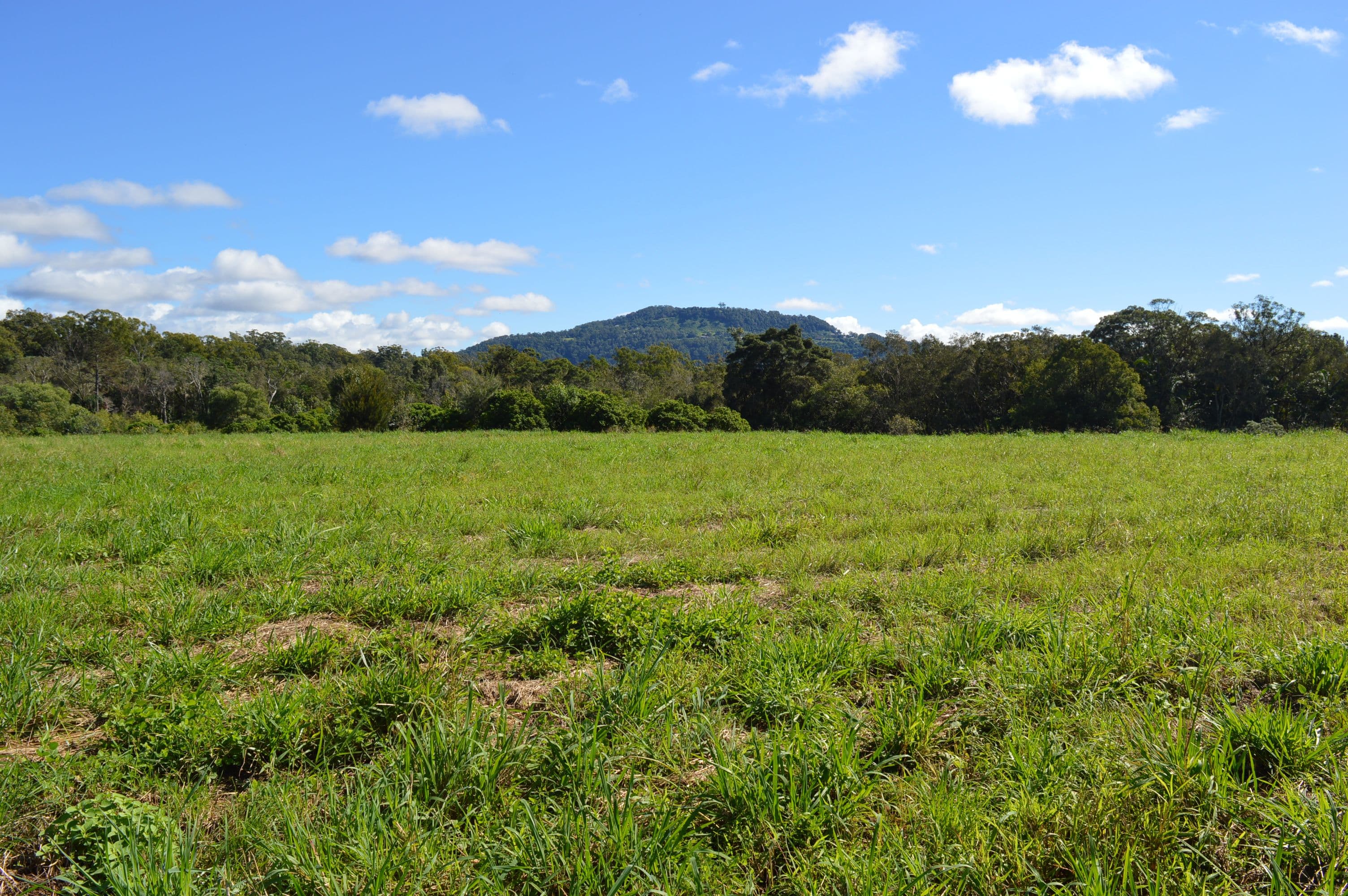 Lot 100 Lloyd Street, Beerwah QLD 4519, Beerwah - Thumbnail 6