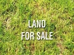 64-66 McPhail Road, Narangba QLD 4504, Narangba - Thumbnail 4