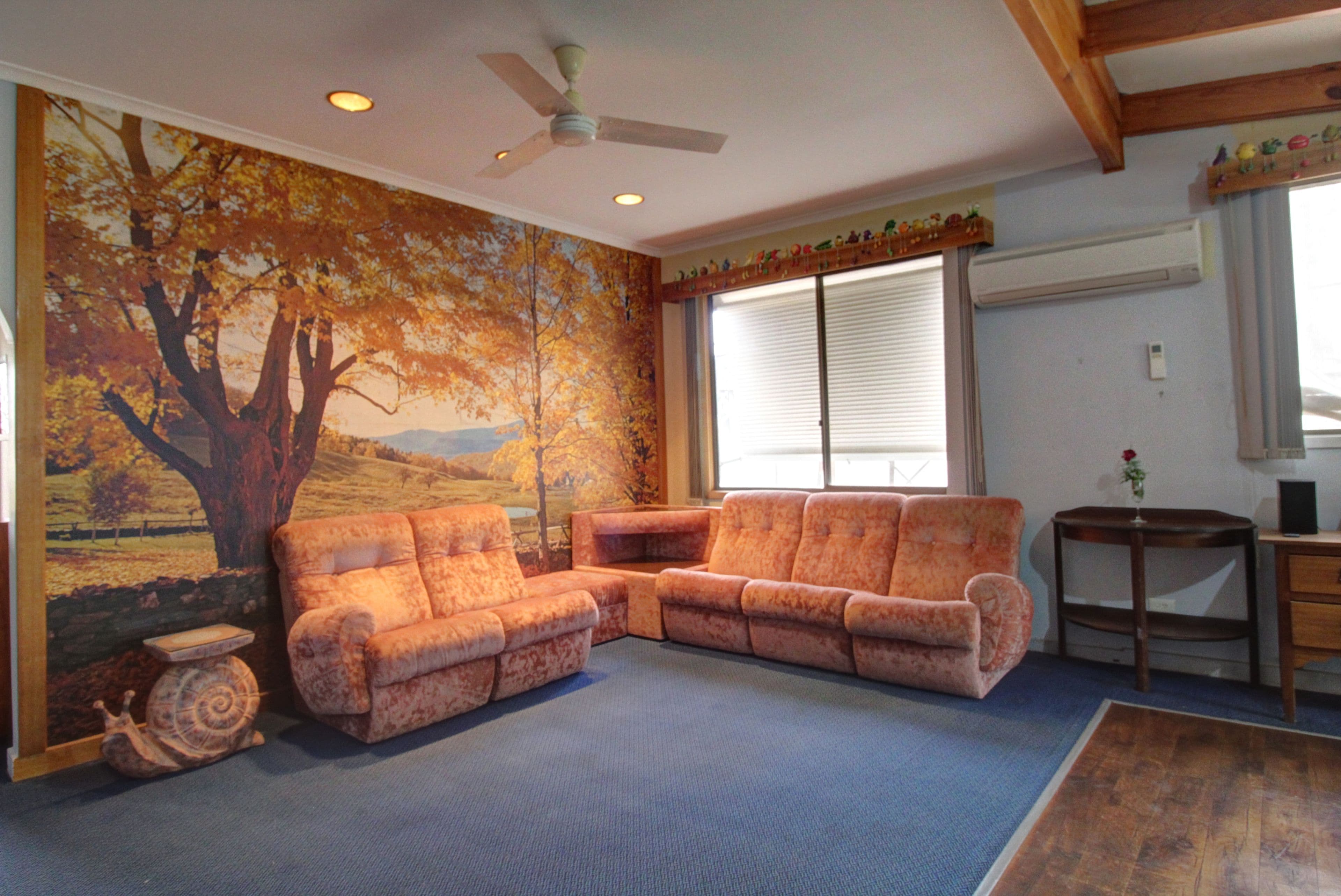 8 Dickerson Street, Barmera SA 5345, Barmera - Thumbnail 6