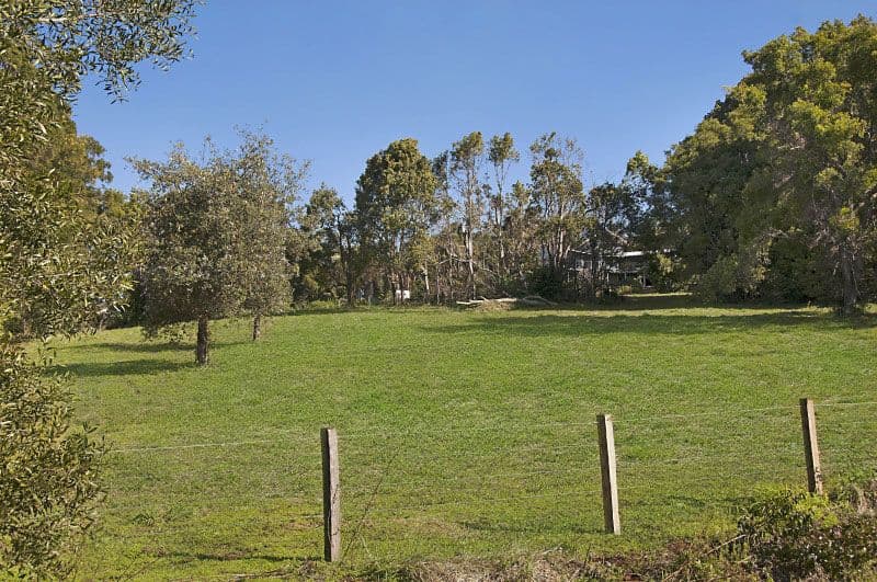 85 Lizray Road, FEDERAL NSW 2480, Federal - Thumbnail 5
