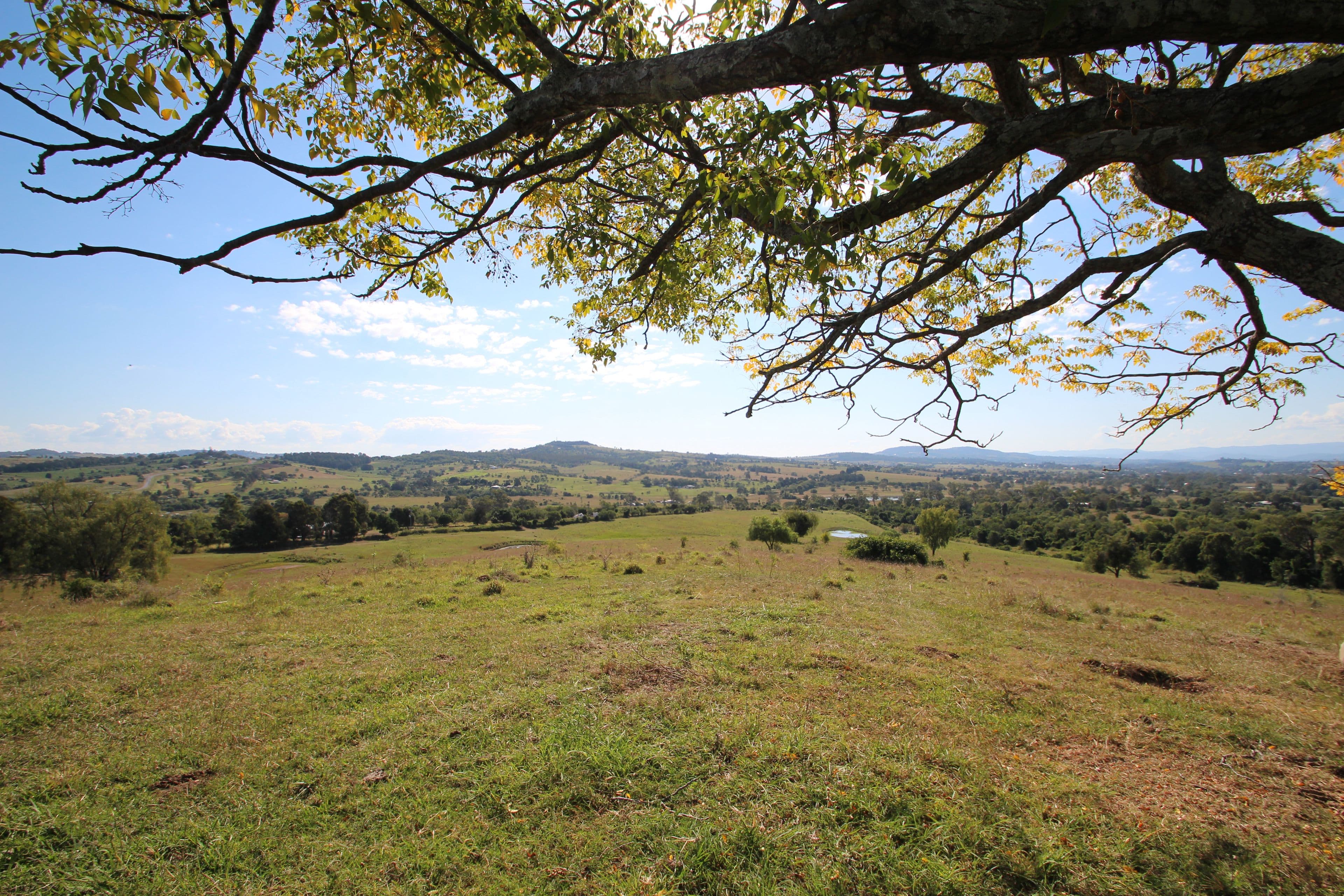 537-545 Rosewood Marburg Road, Tallegalla QLD 4340, Tallegalla - Thumbnail 2