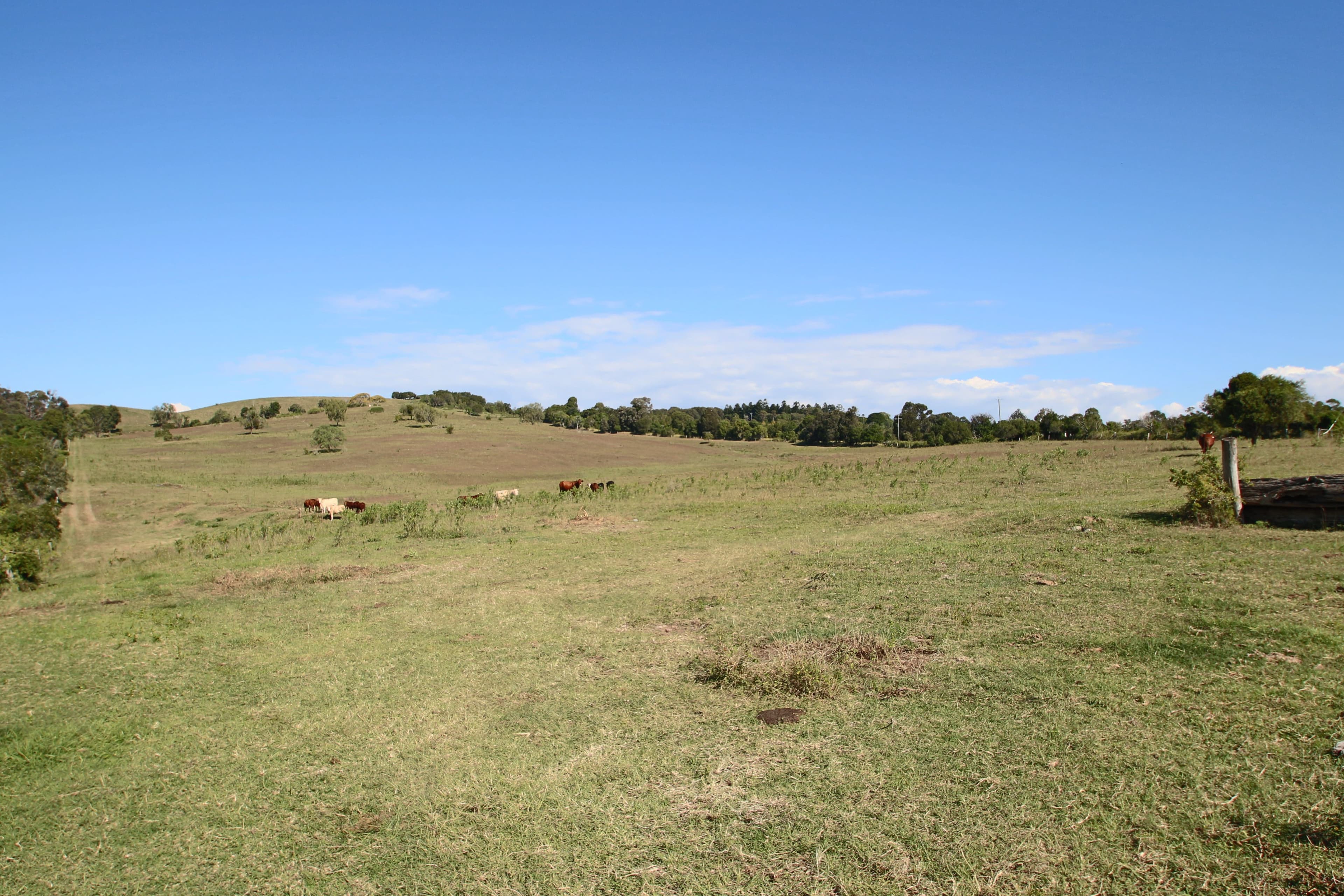 537-545 Rosewood Marburg Road, Tallegalla QLD 4340, Tallegalla - Thumbnail 3