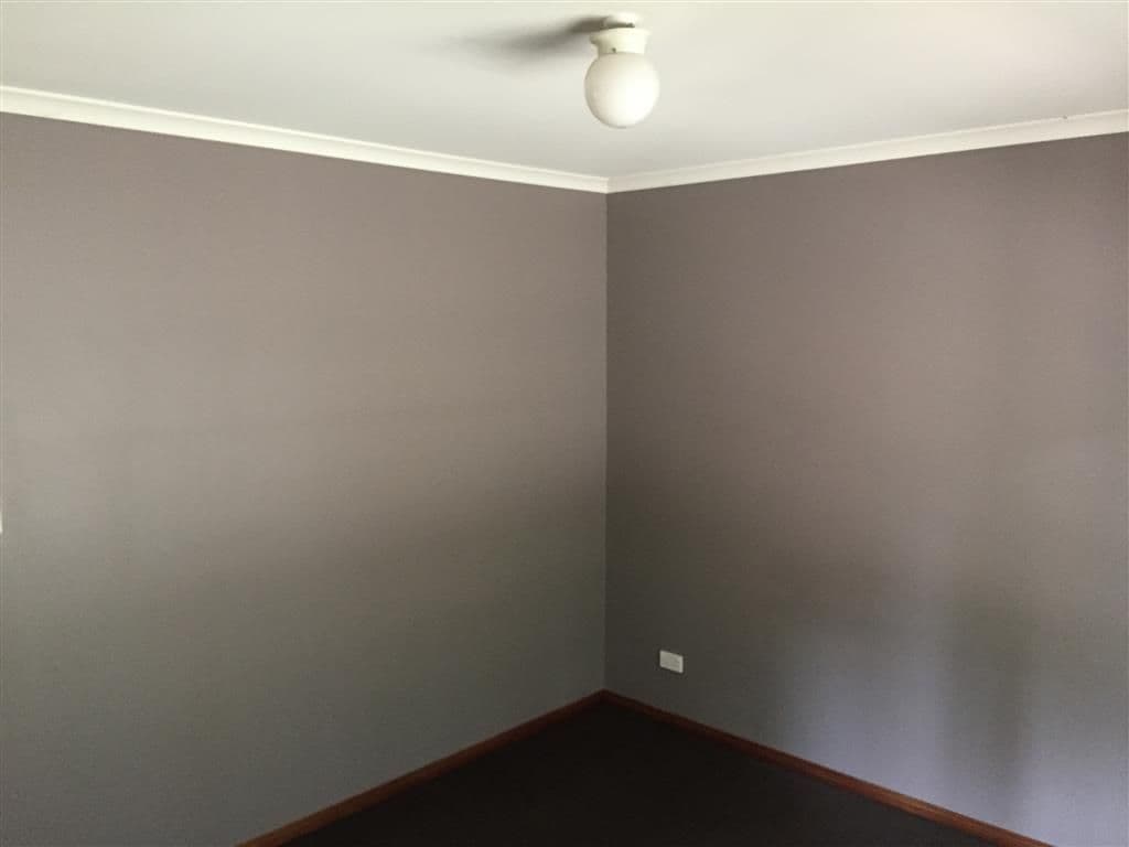 224 Back Sandy Gully Road, Adelong NSW 2729, Adelong - Thumbnail 6
