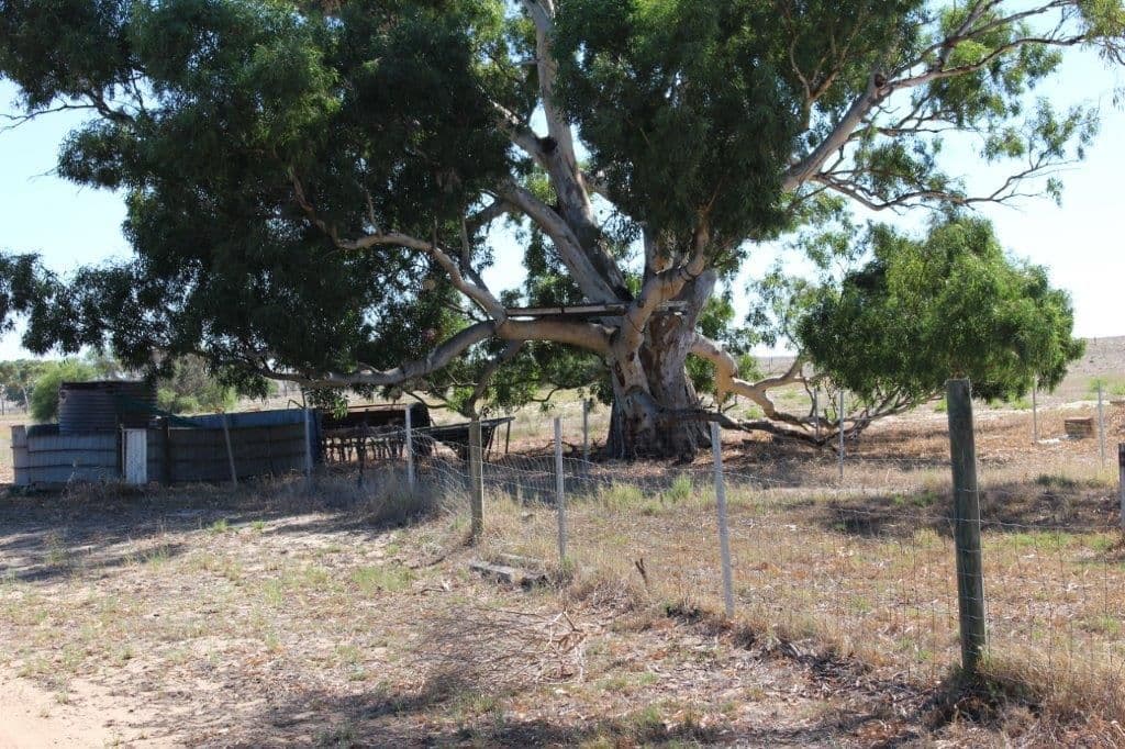 26 Fettler Street, Irwin WA 6525, Irwin - Thumbnail 8